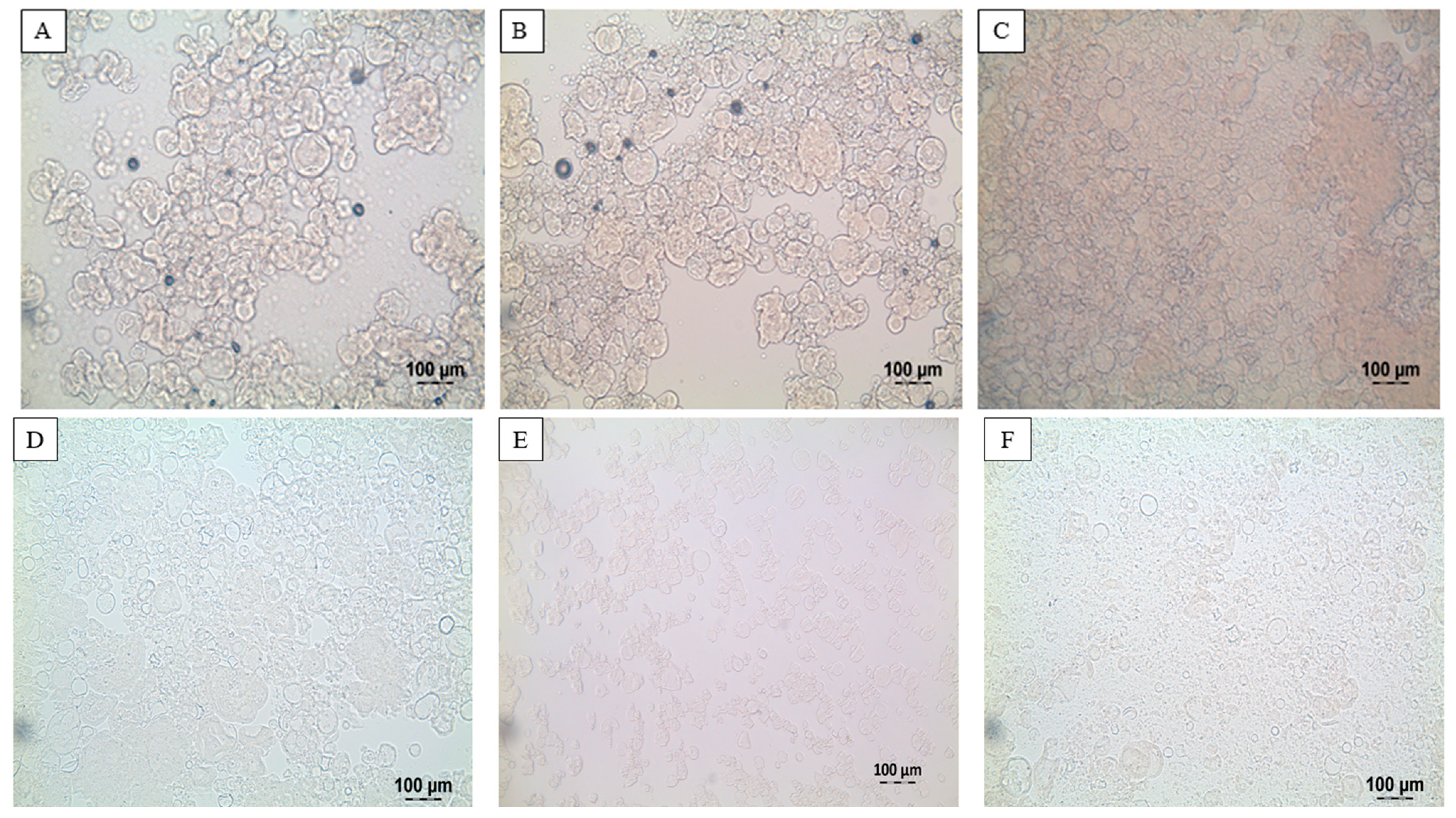 Molecules 26 03015 g002 Molecules 26 03015 g002