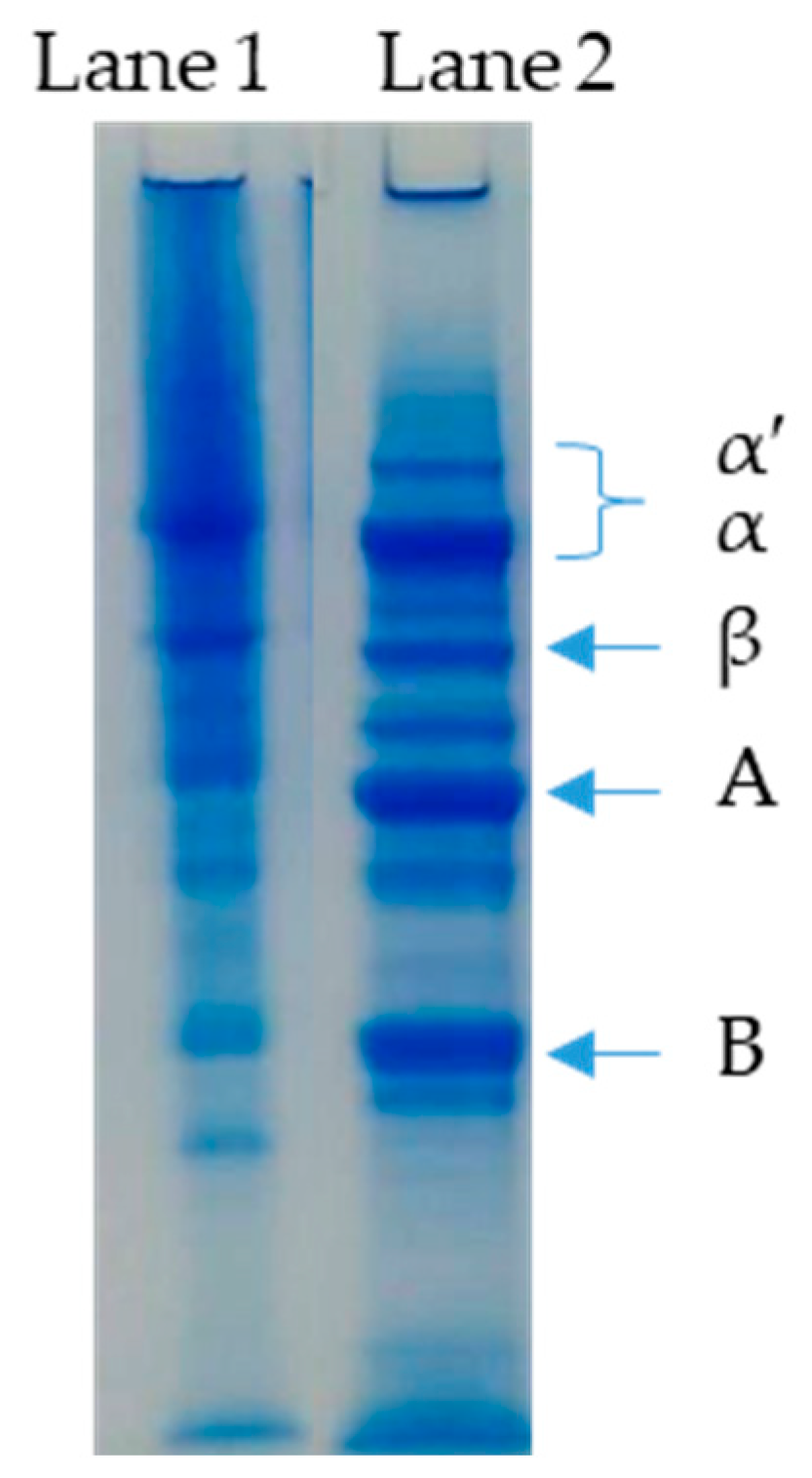 Molecules 26 03015 g0a1 Molecules 26 03015 g0a1