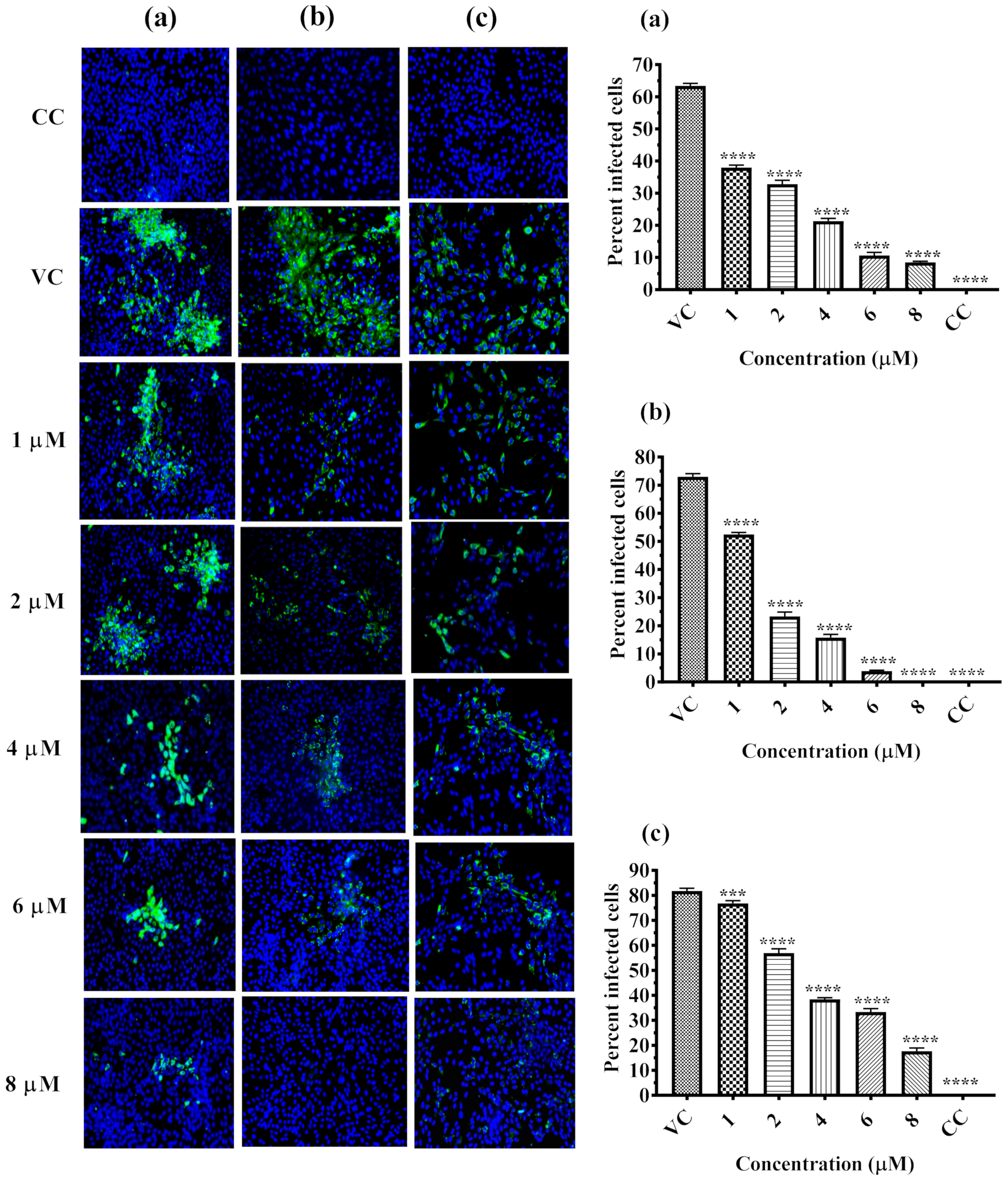 Molecules 26 03016 g003