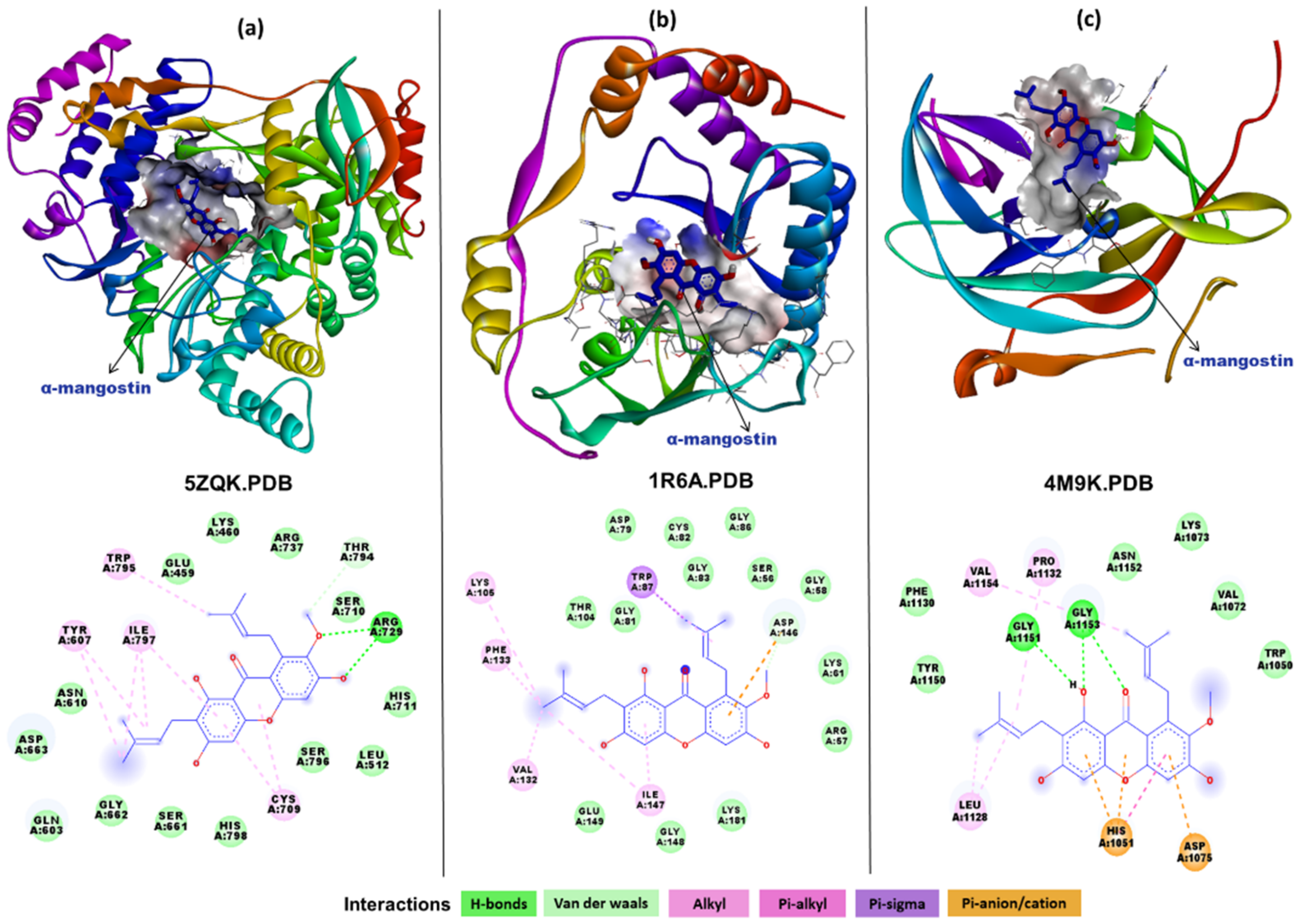 Molecules 26 03016 g004a