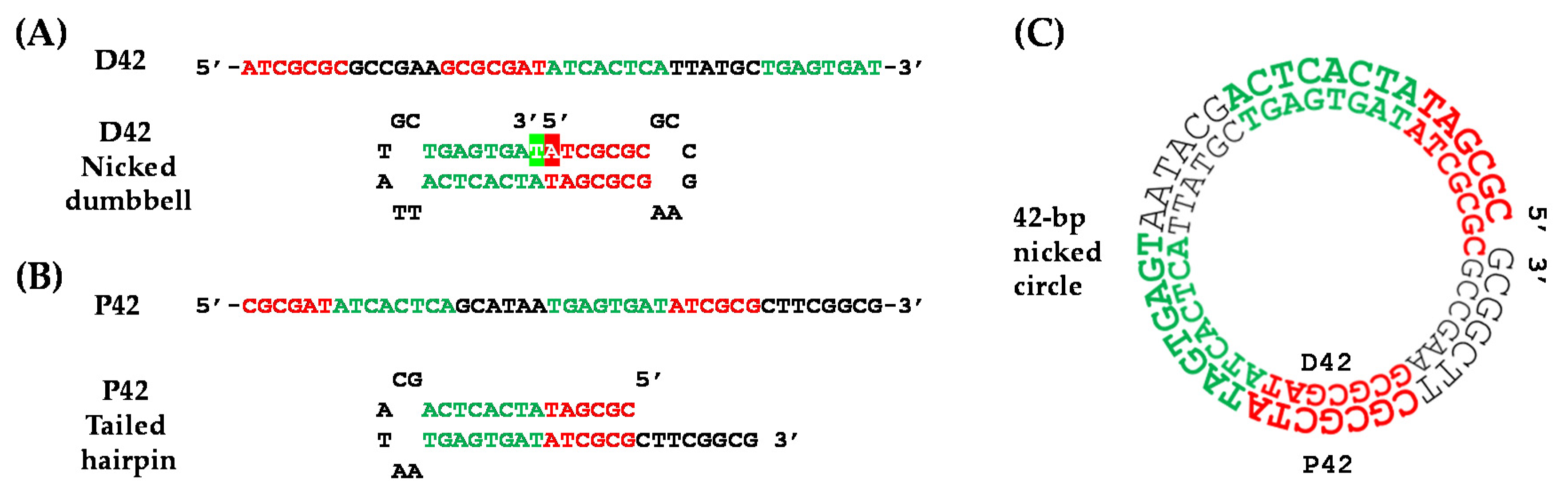 Molecules 26 03017 g001