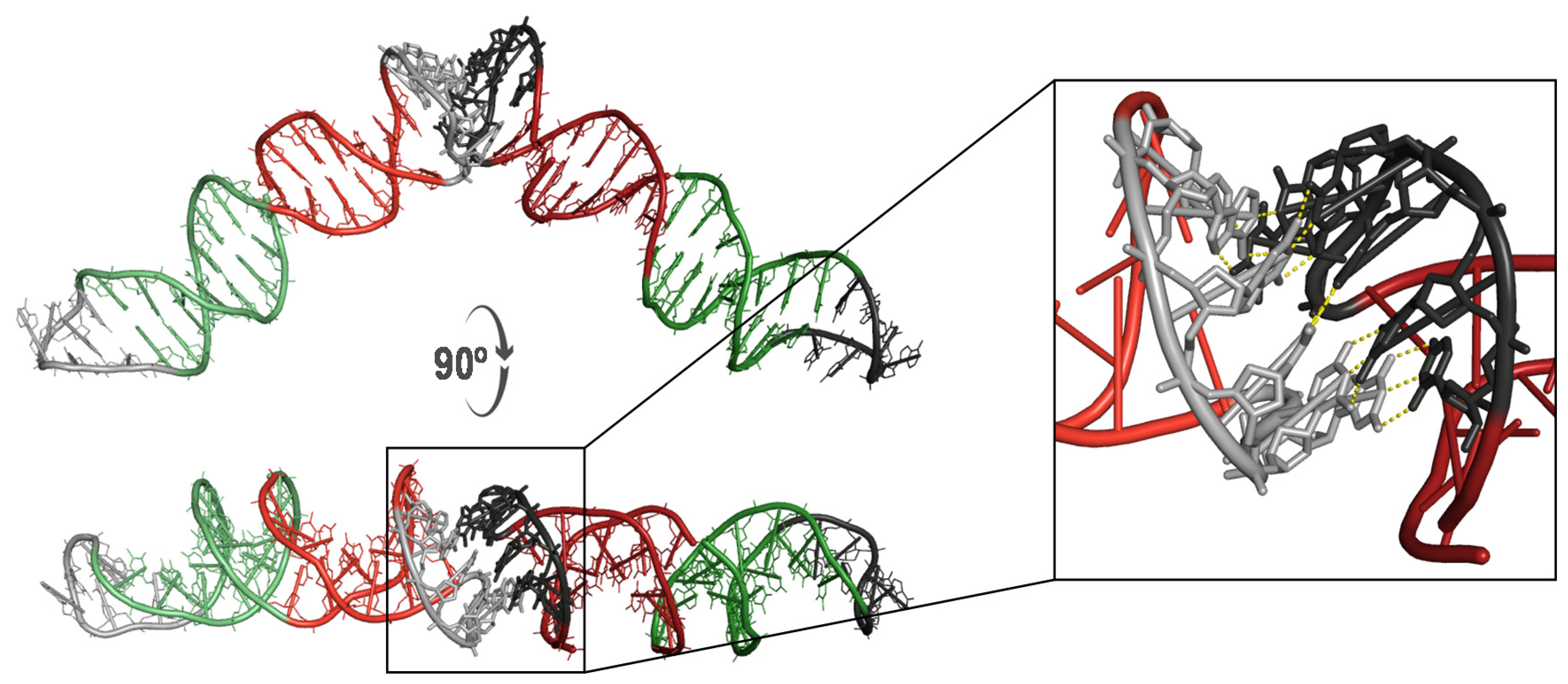 Molecules 26 03017 g003