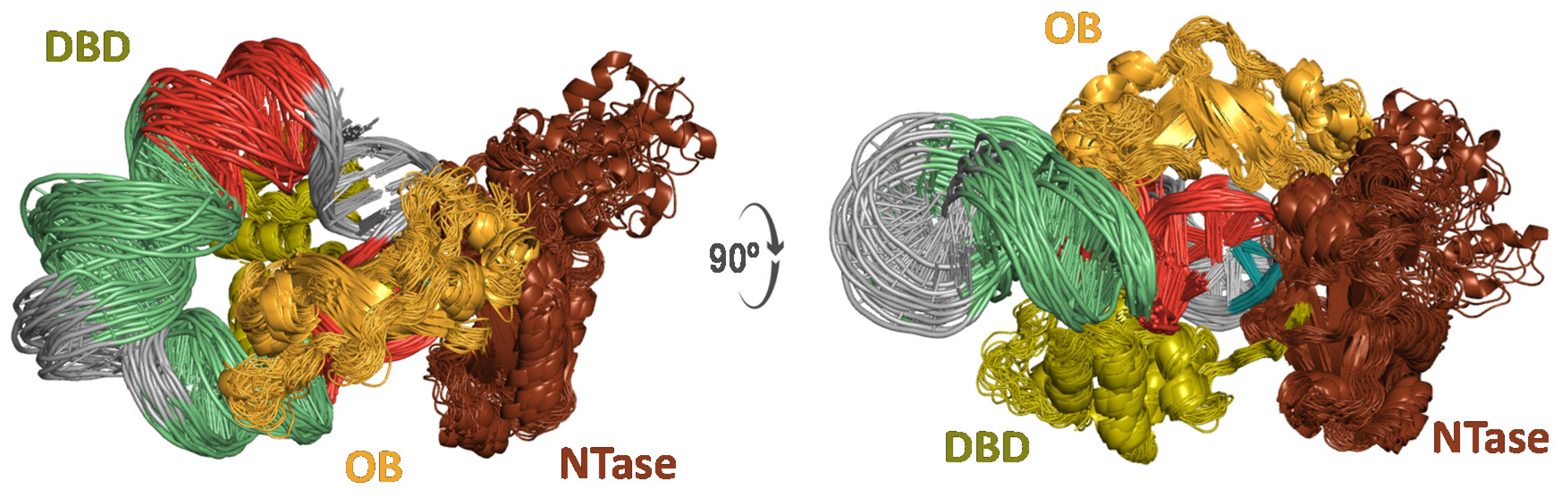 Molecules 26 03017 g005
