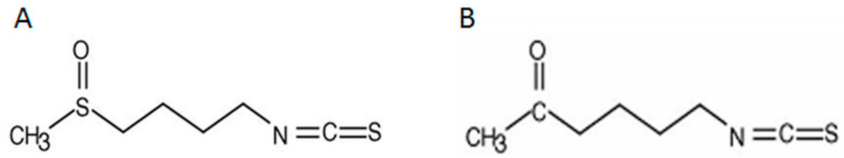 Molecules 26 03019 g001 Molecules 26 03019 g001