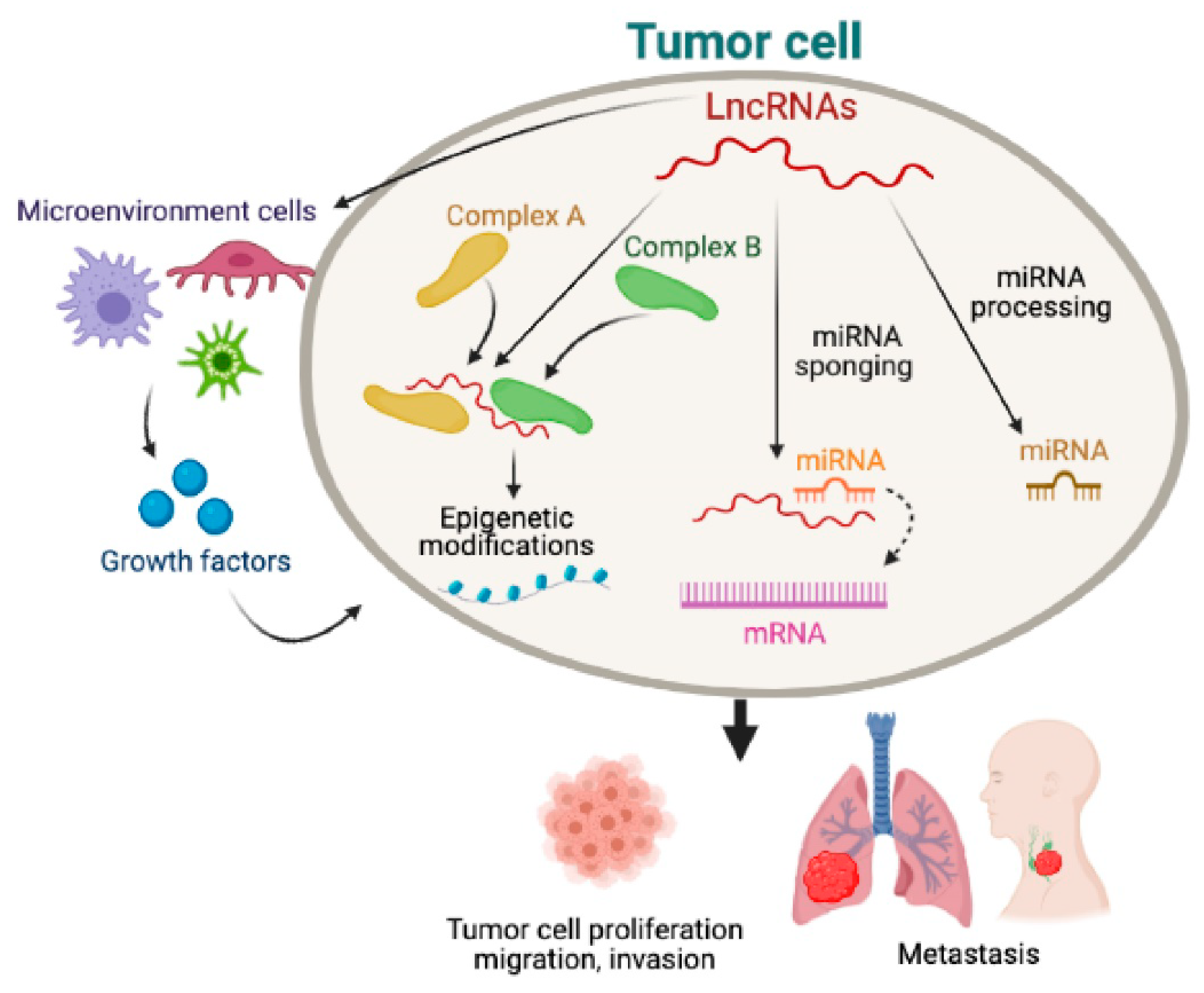 Molecules 26 03022 g001 Molecules 26 03022 g001