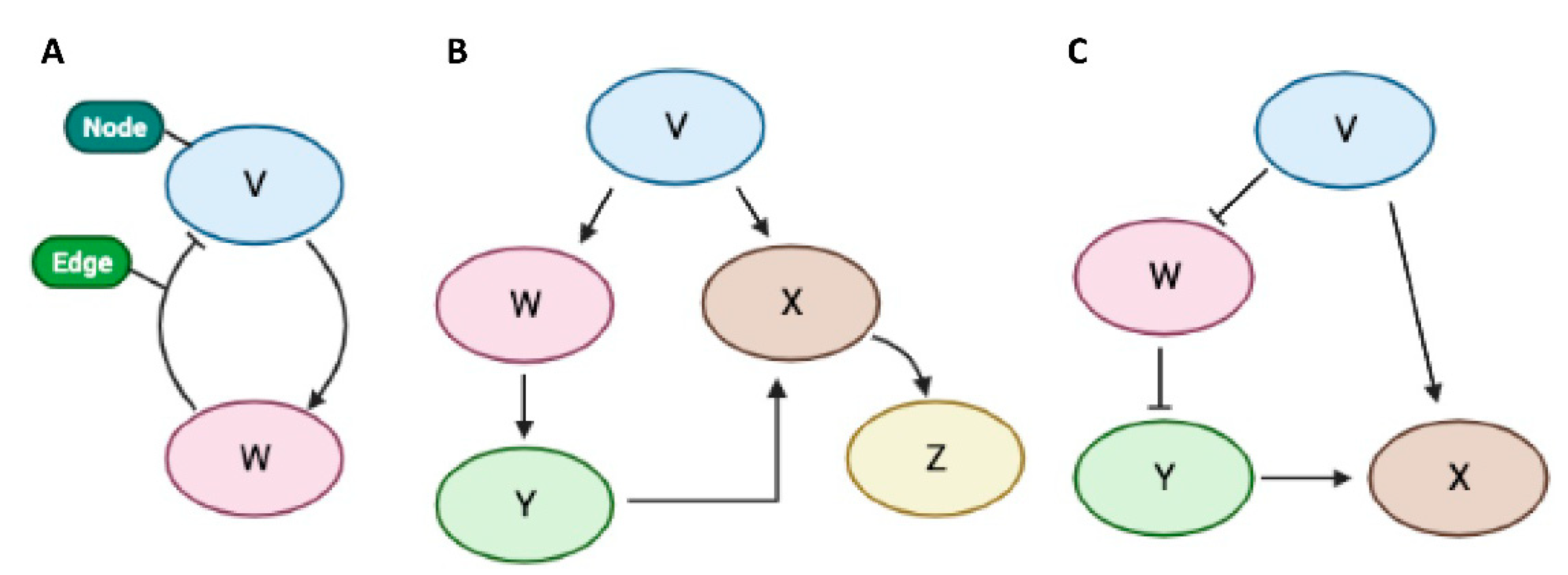 Molecules 26 03022 g002 Molecules 26 03022 g002