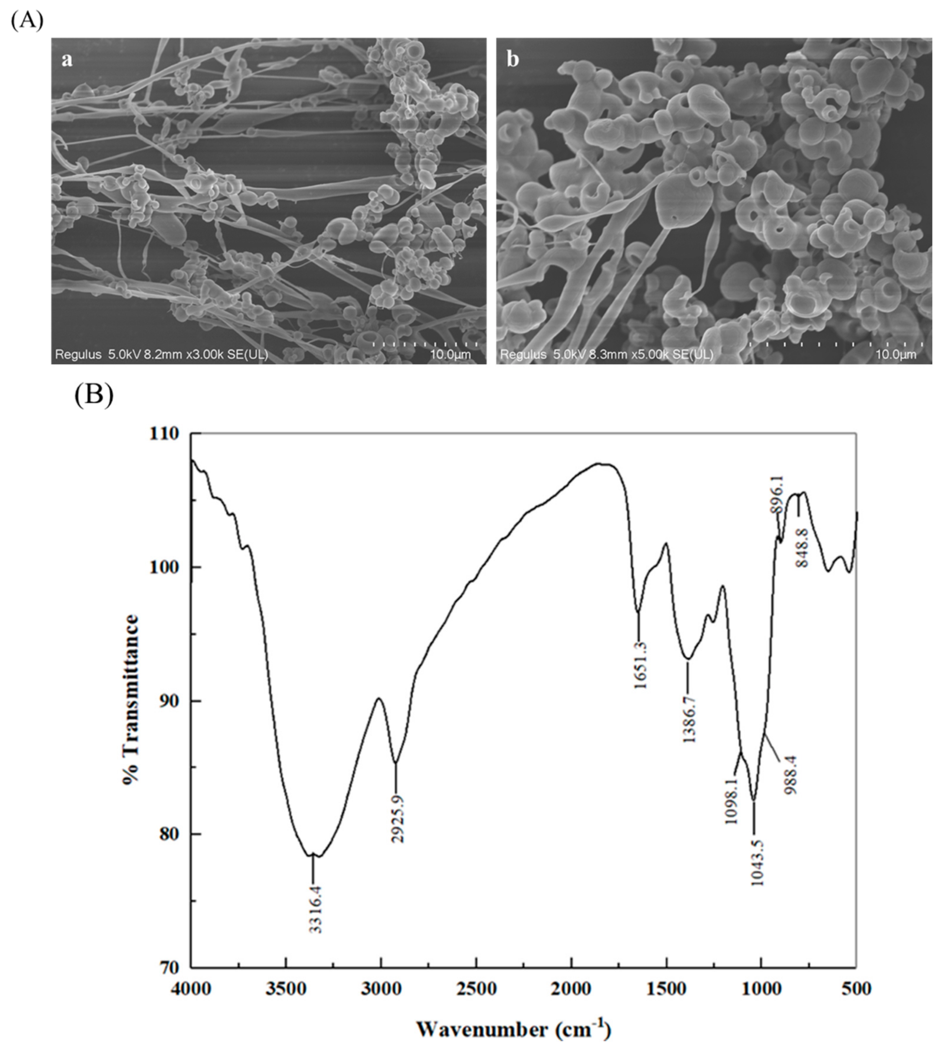 Molecules 26 03026 g001 Molecules 26 03026 g001