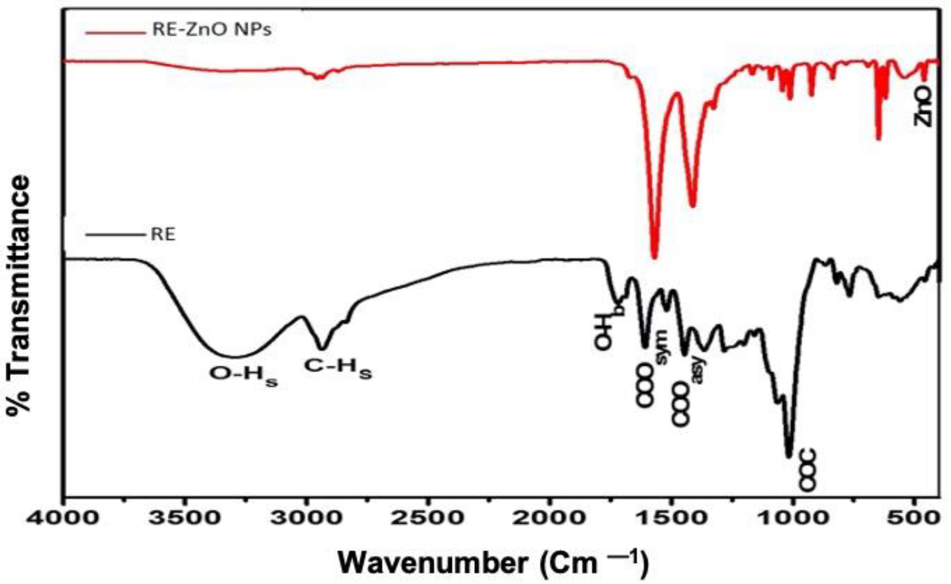 Molecules 26 03029 g002 Molecules 26 03029 g002