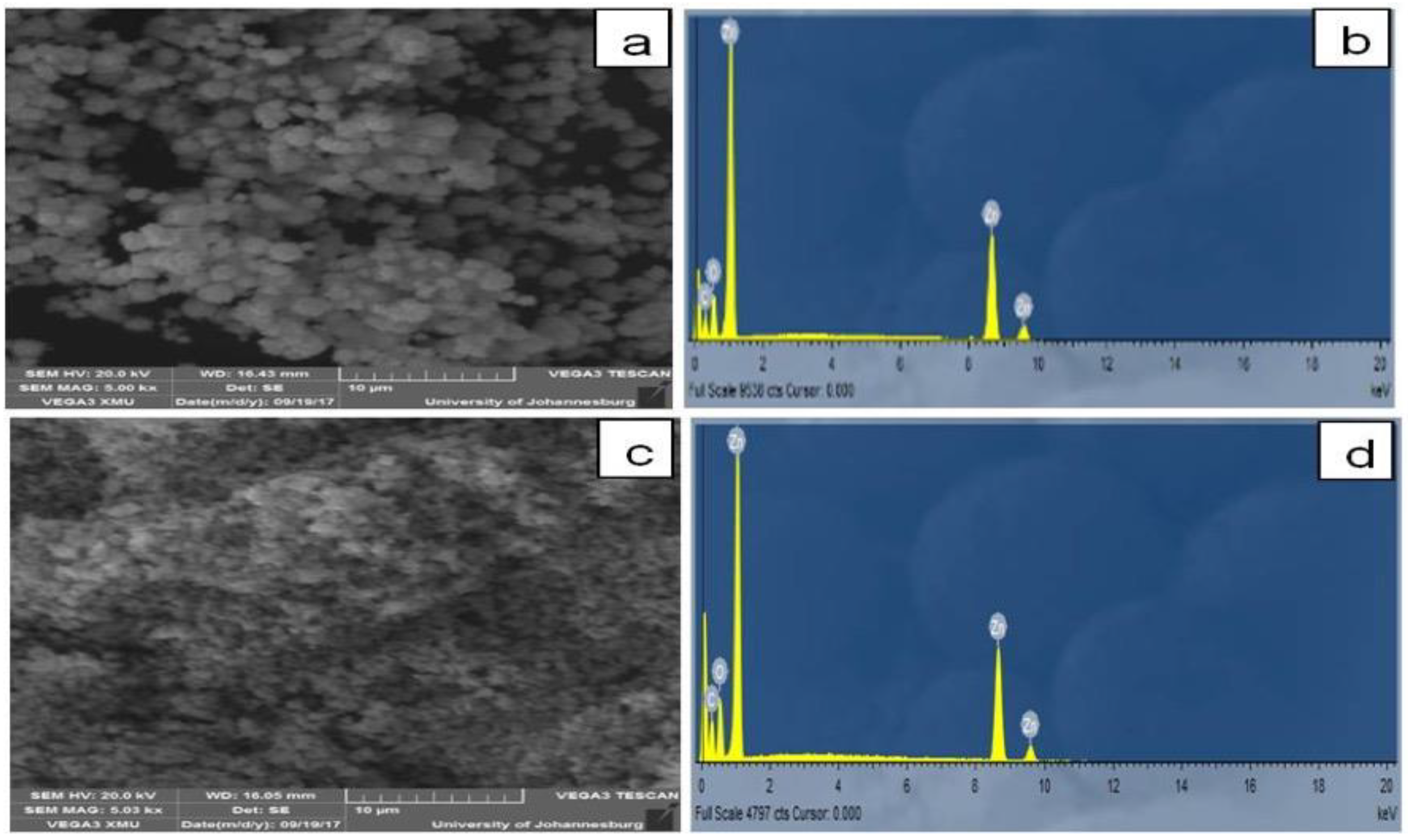 Molecules 26 03029 g005 Molecules 26 03029 g005