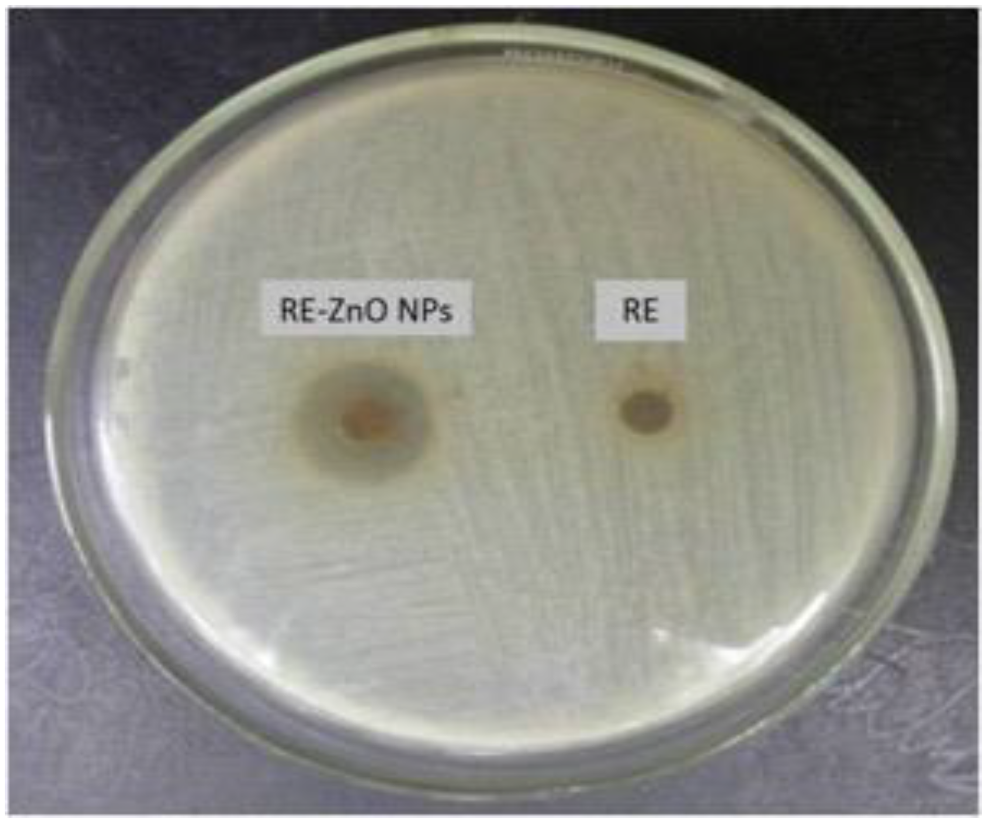Molecules 26 03029 g006 Molecules 26 03029 g006