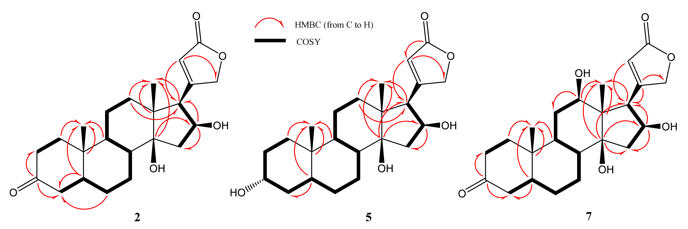 Molecules 26 03030 g004 Molecules 26 03030 g004