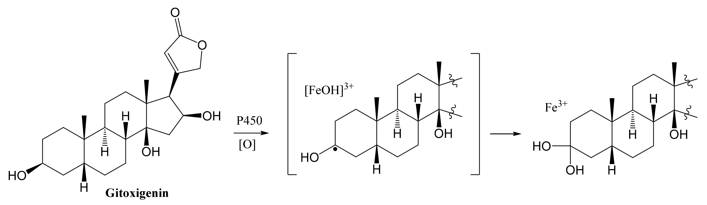 Molecules 26 03030 g006 Molecules 26 03030 g006