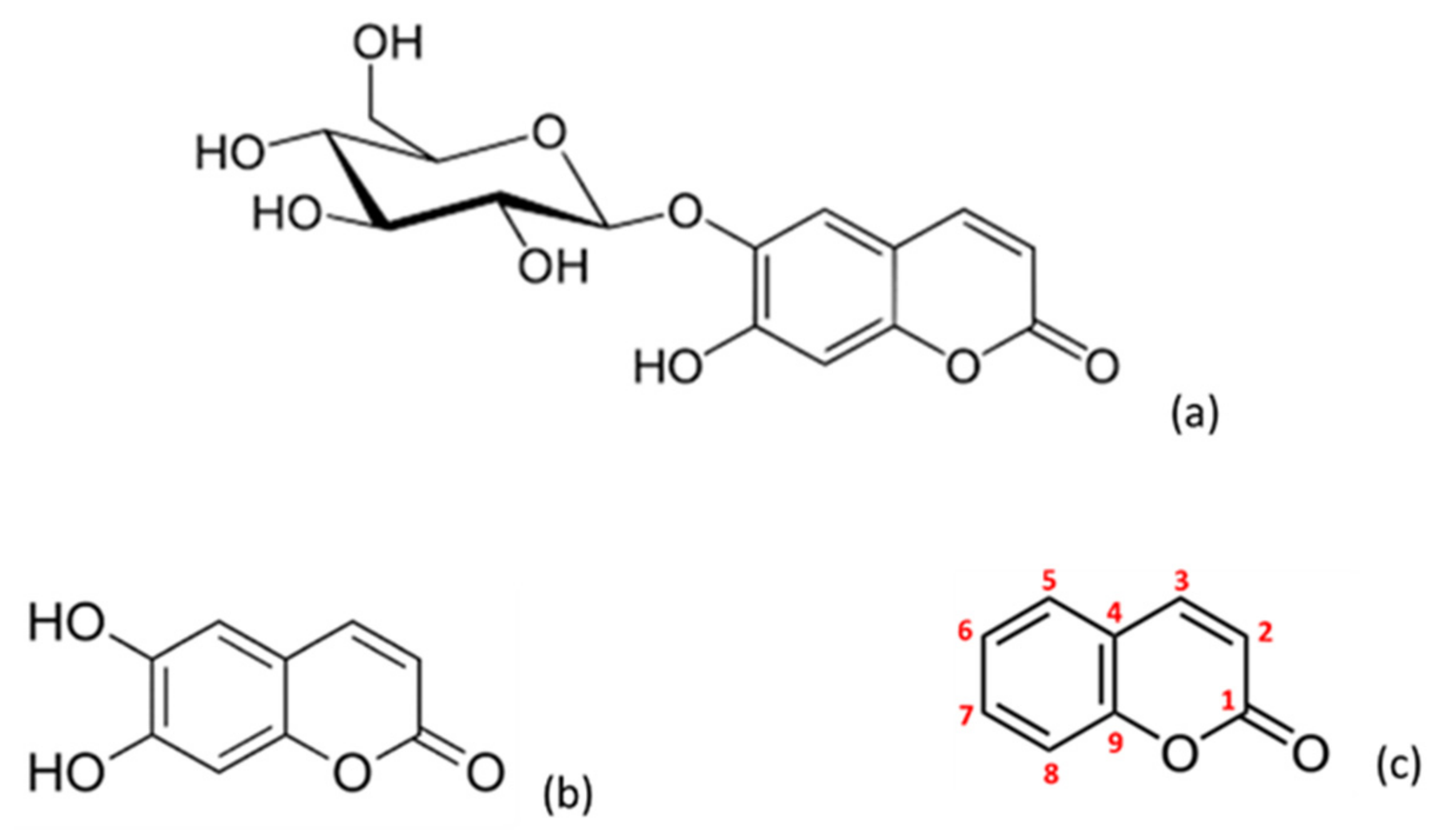 Molecules 26 03036 g001 Molecules 26 03036 g001
