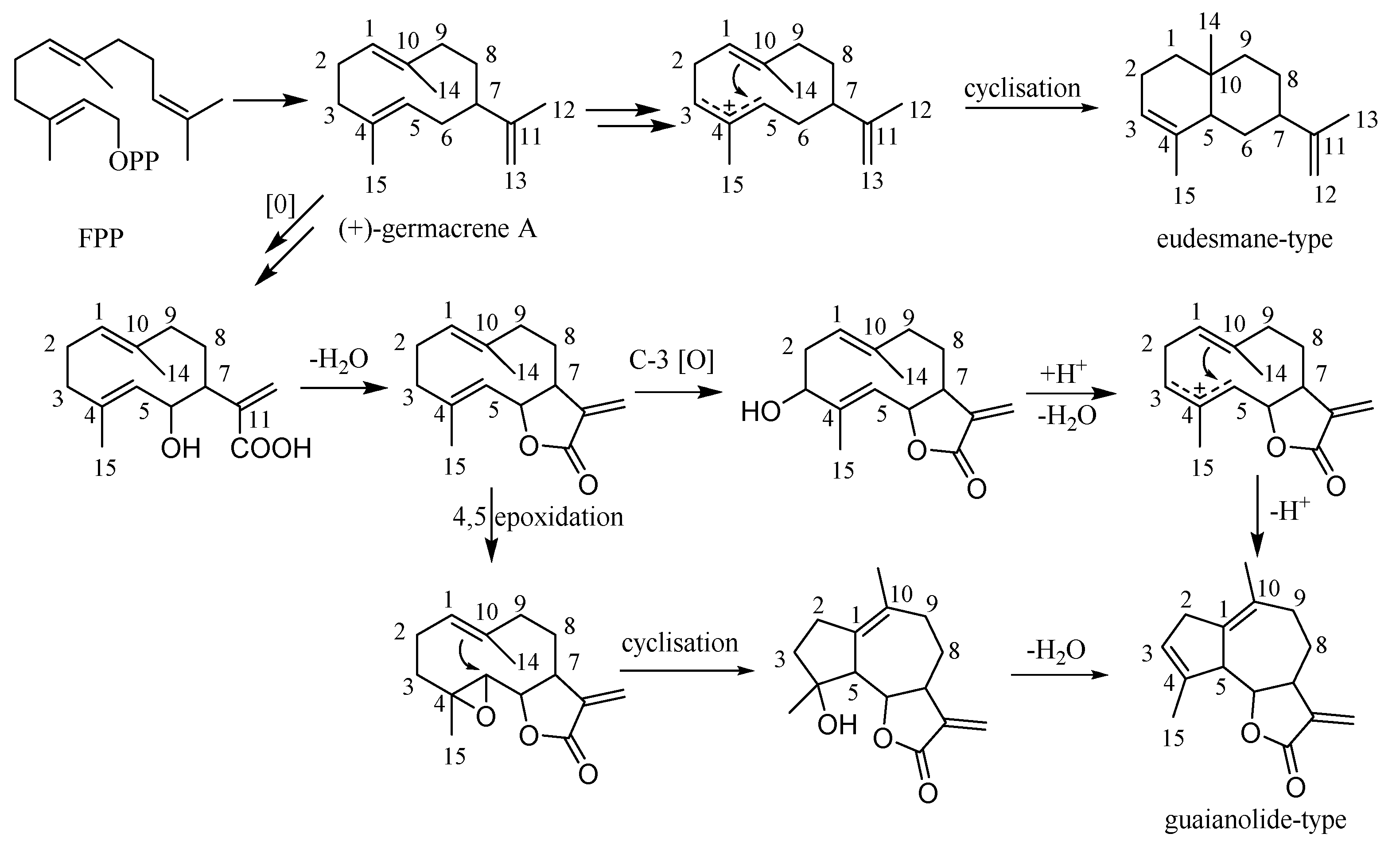 Molecules 26 03038 g007 Molecules 26 03038 g007