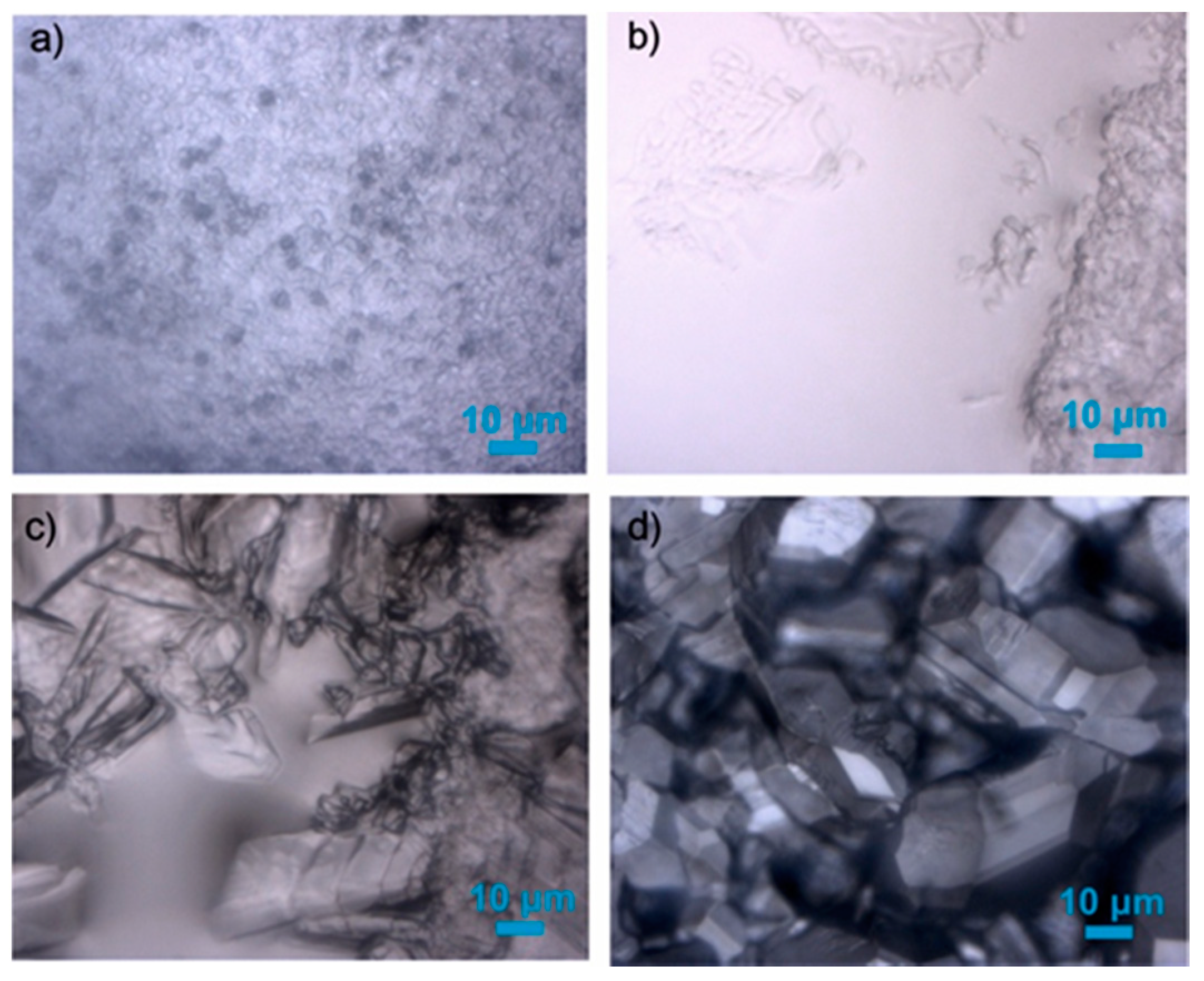Molecules 26 03039 g008
