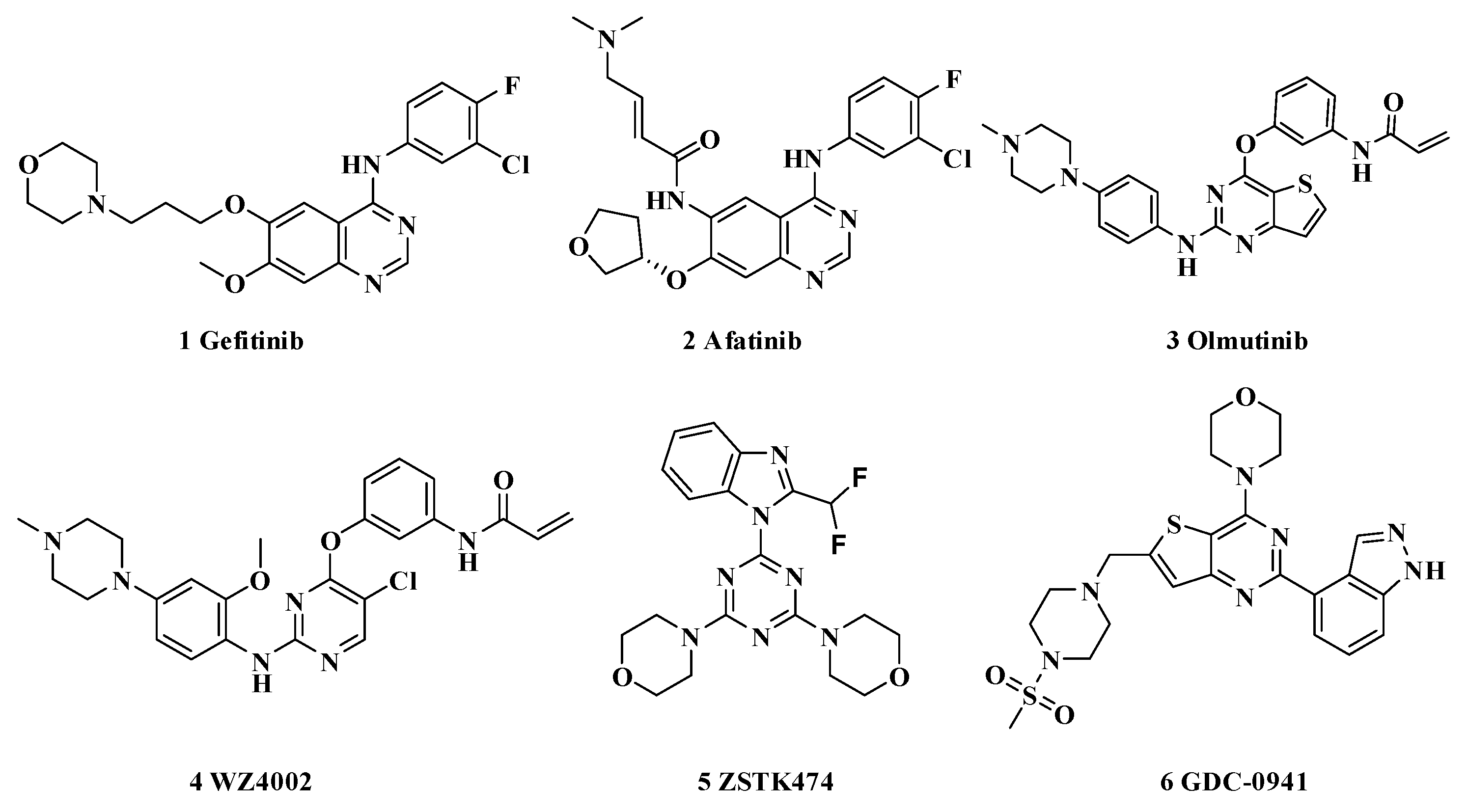 Molecules 26 03041 g001