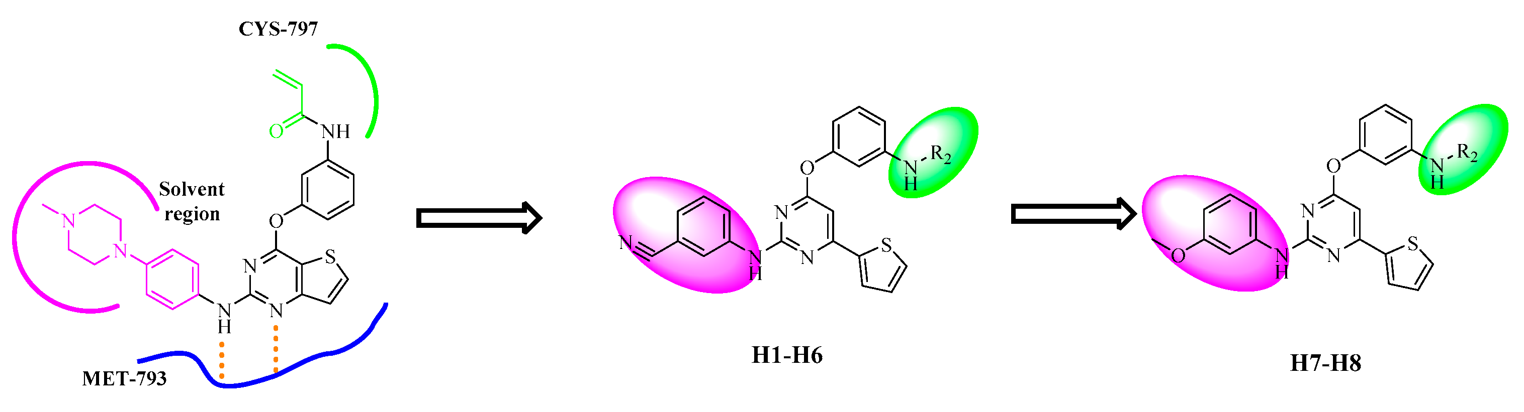 Molecules 26 03041 g003