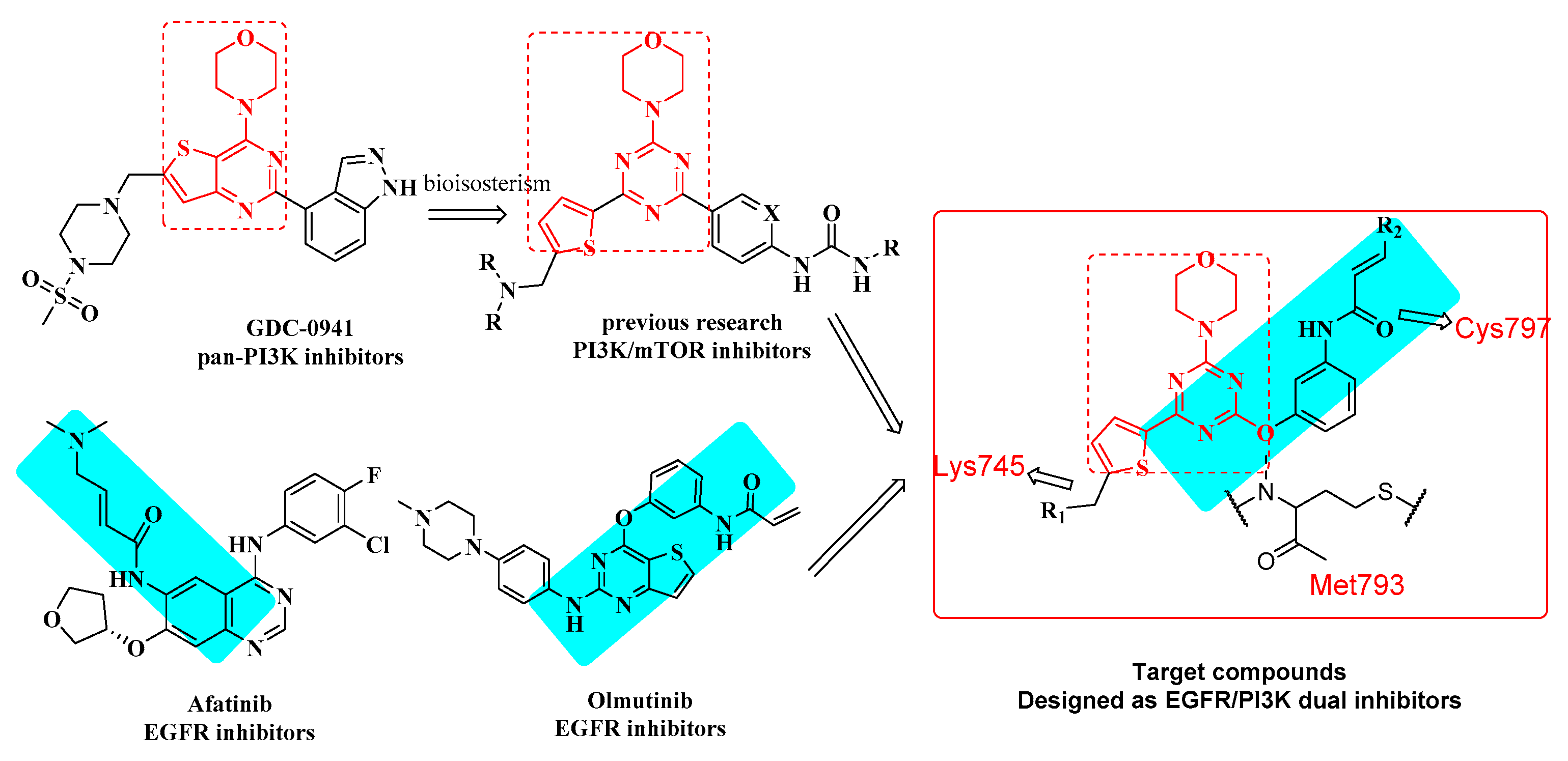 Molecules 26 03041 g004