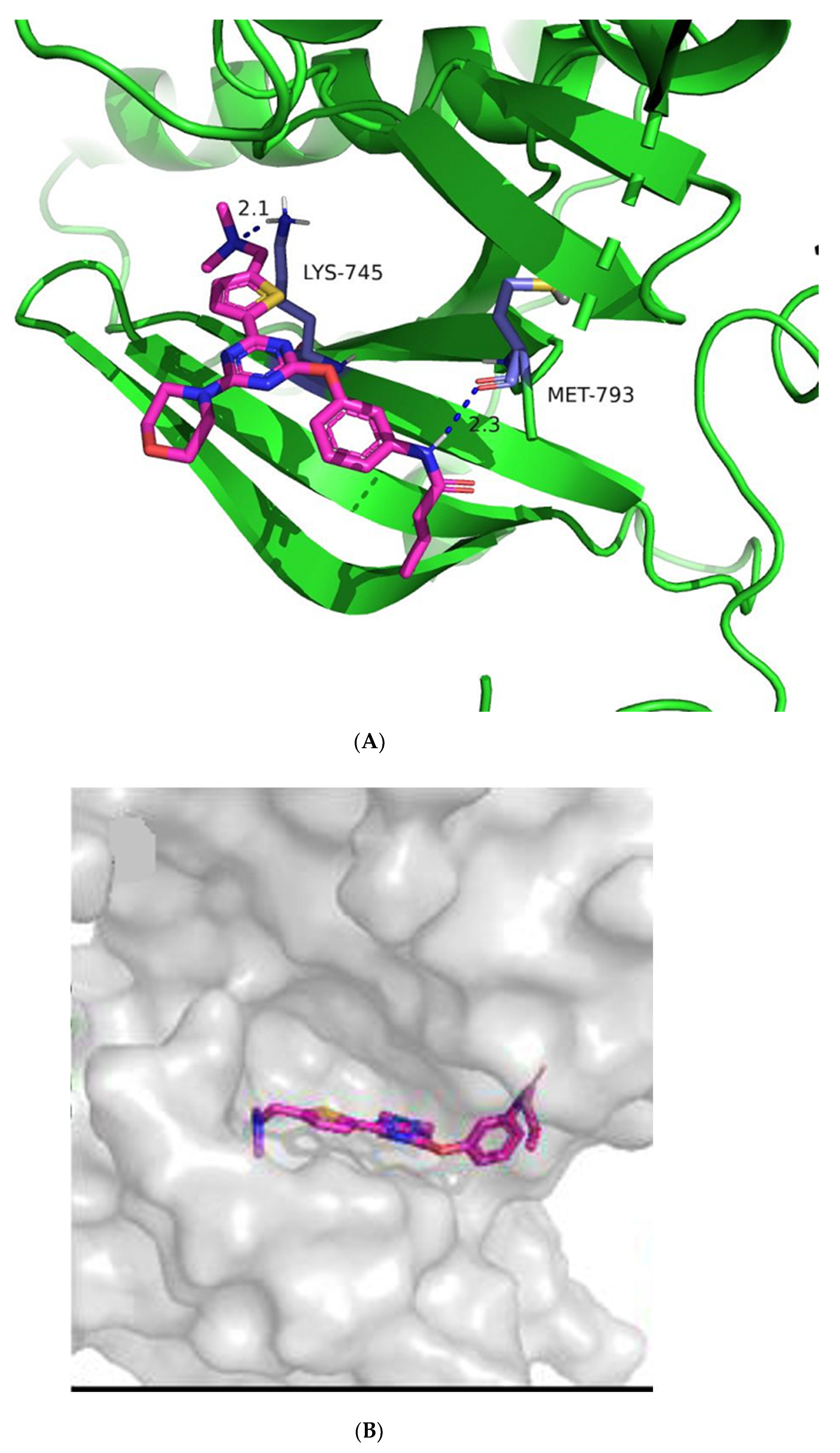 Molecules 26 03041 g005a