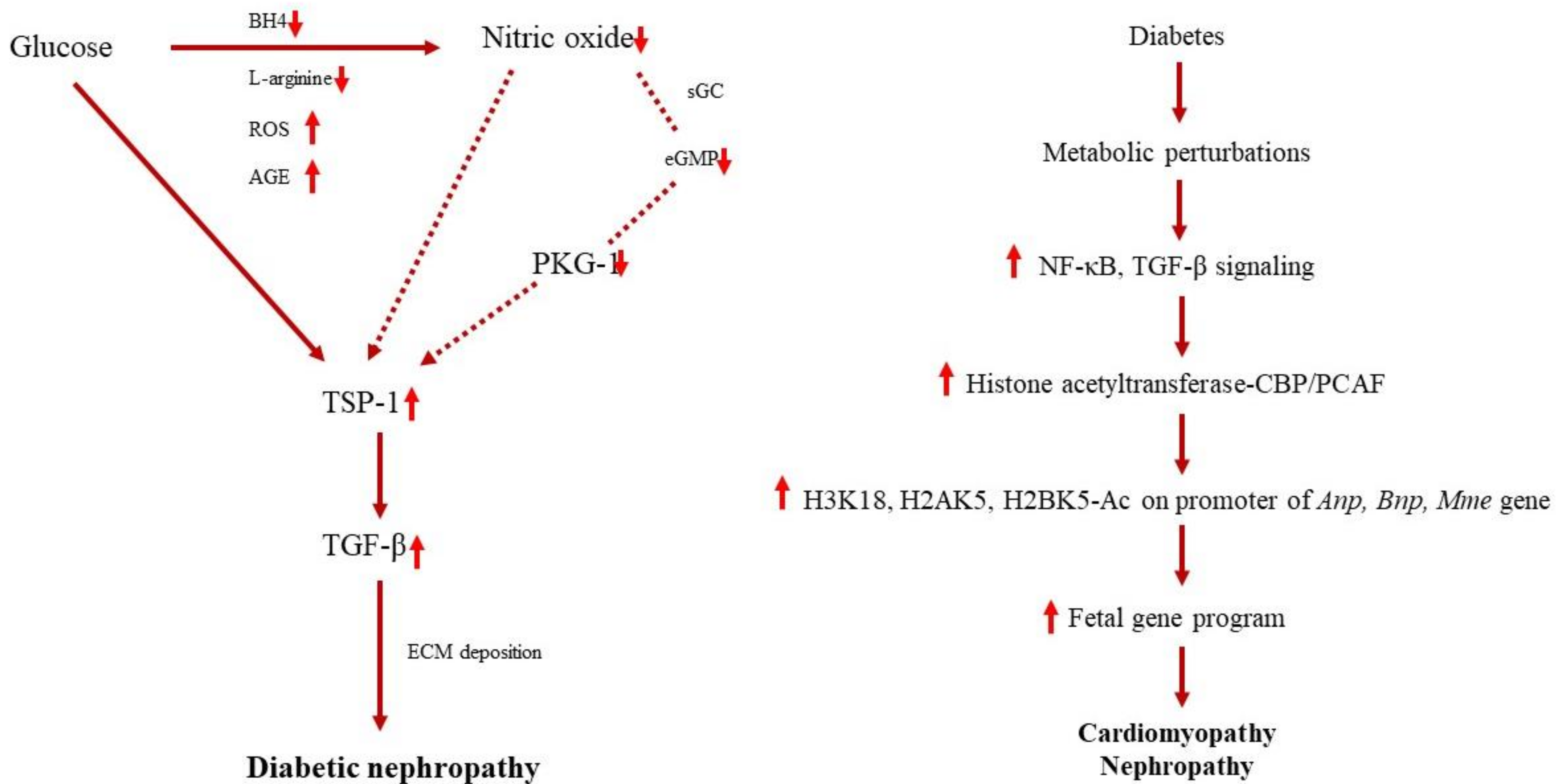 Molecules 26 03042 g003