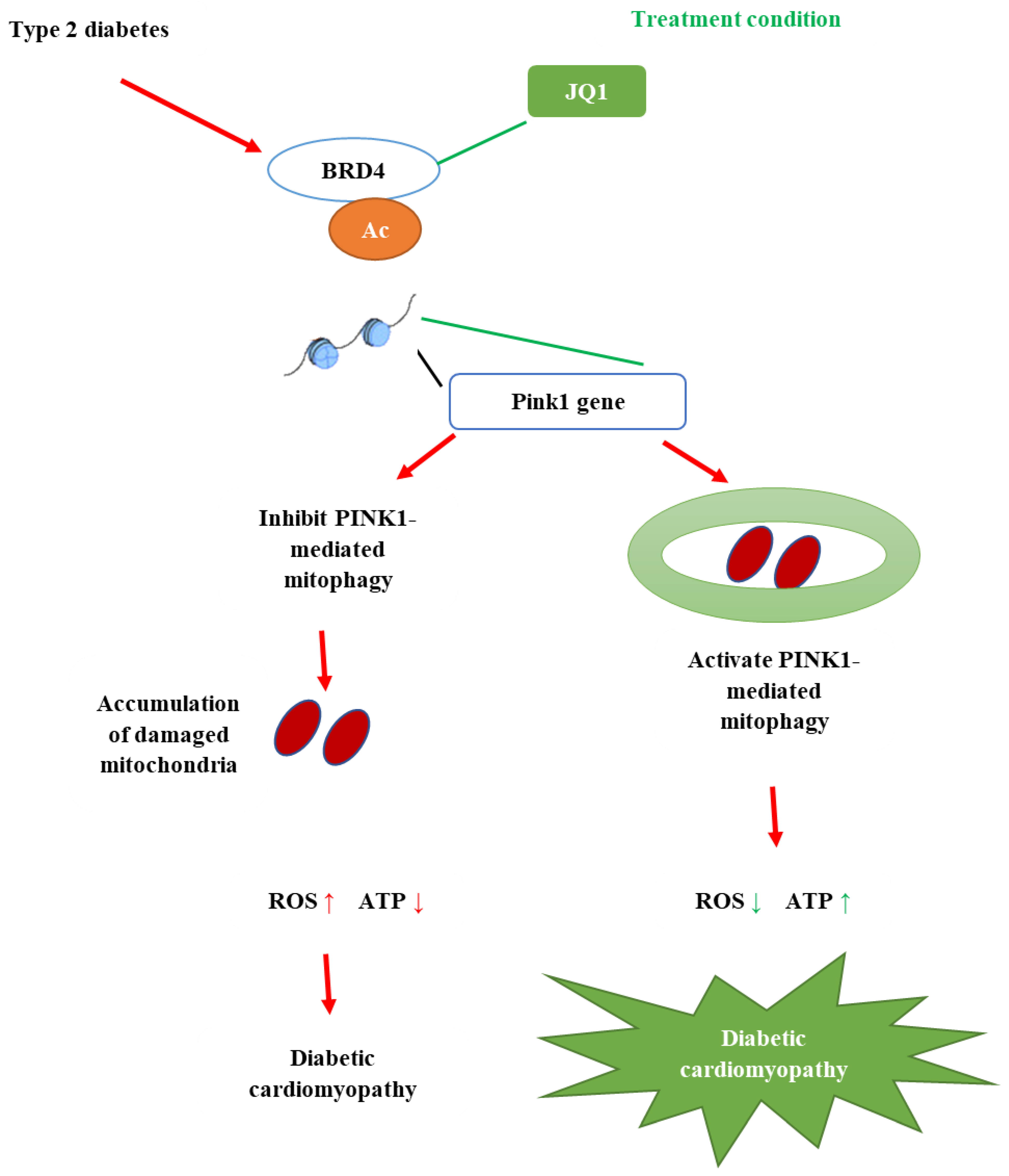 Molecules 26 03042 g004