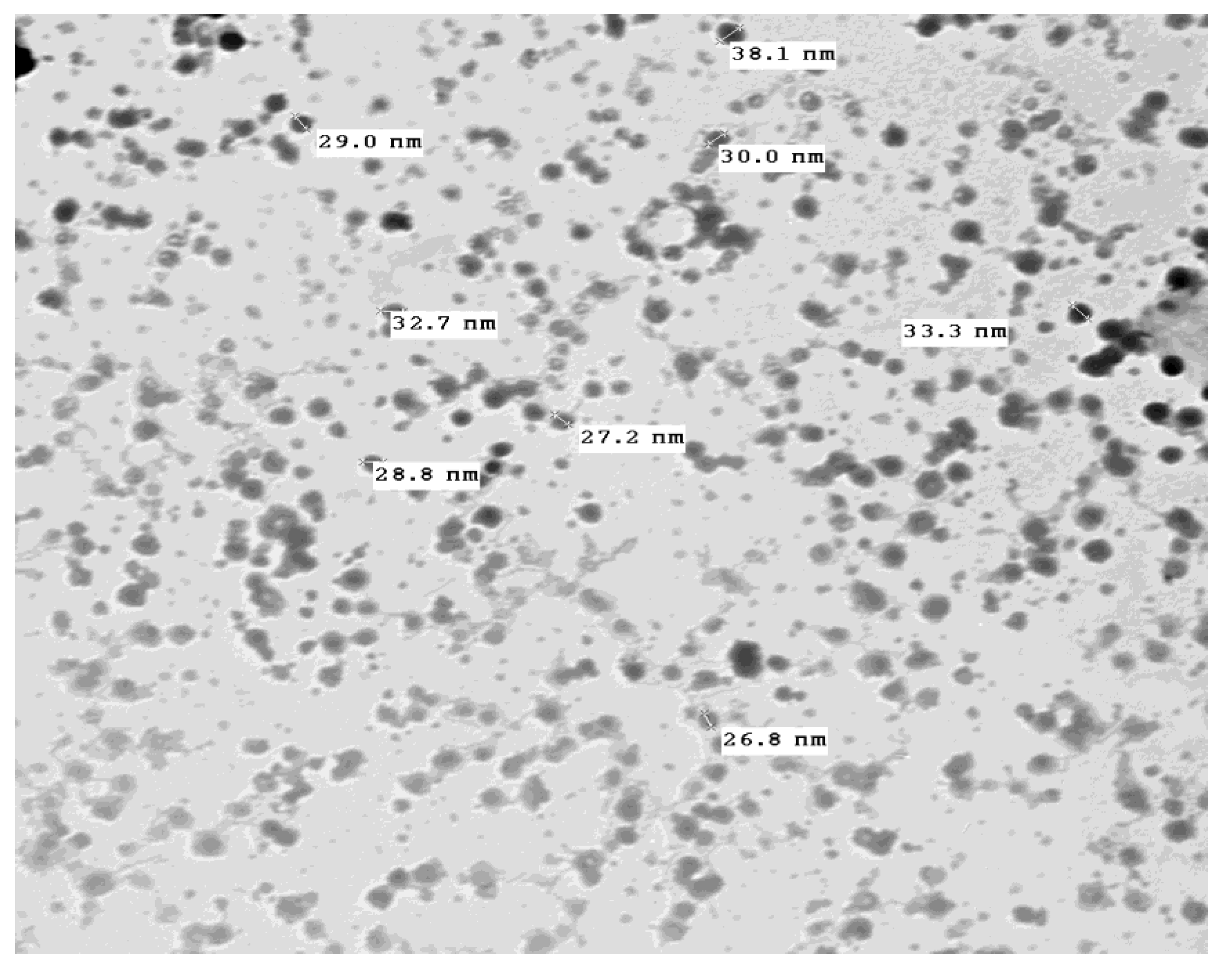 Molecules 26 03045 g005