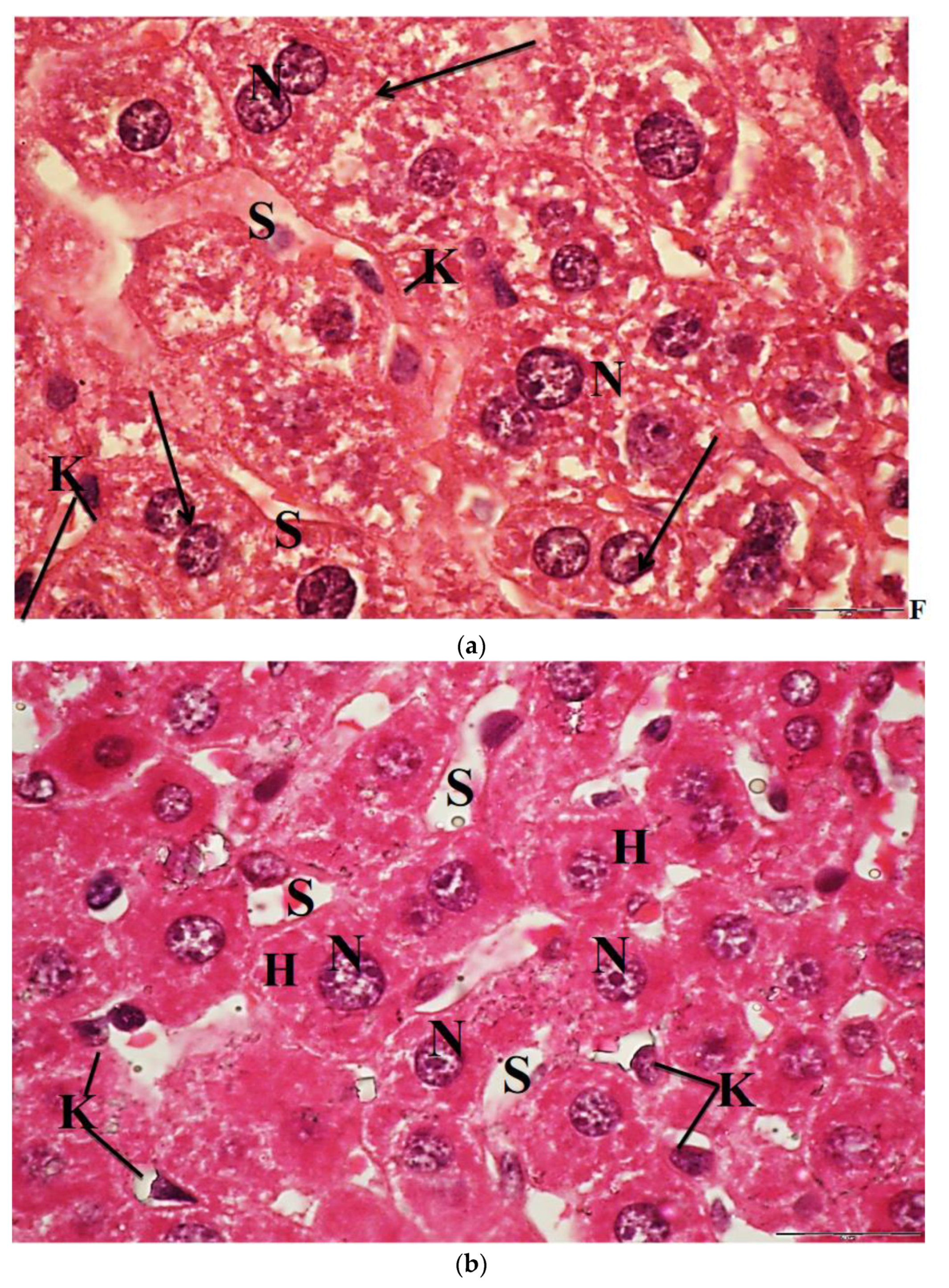 Molecules 26 03045 g008a