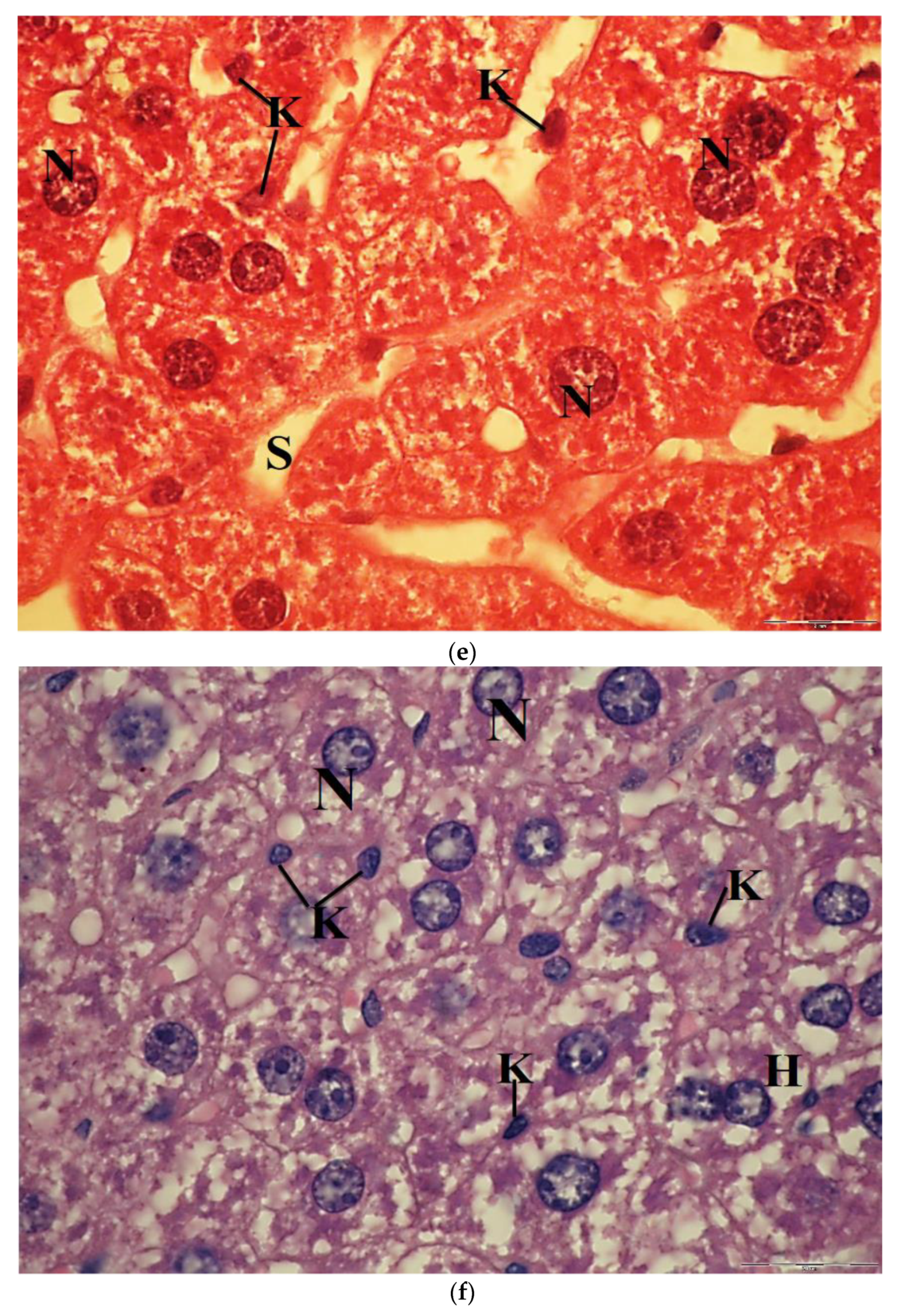 Molecules 26 03045 g008c
