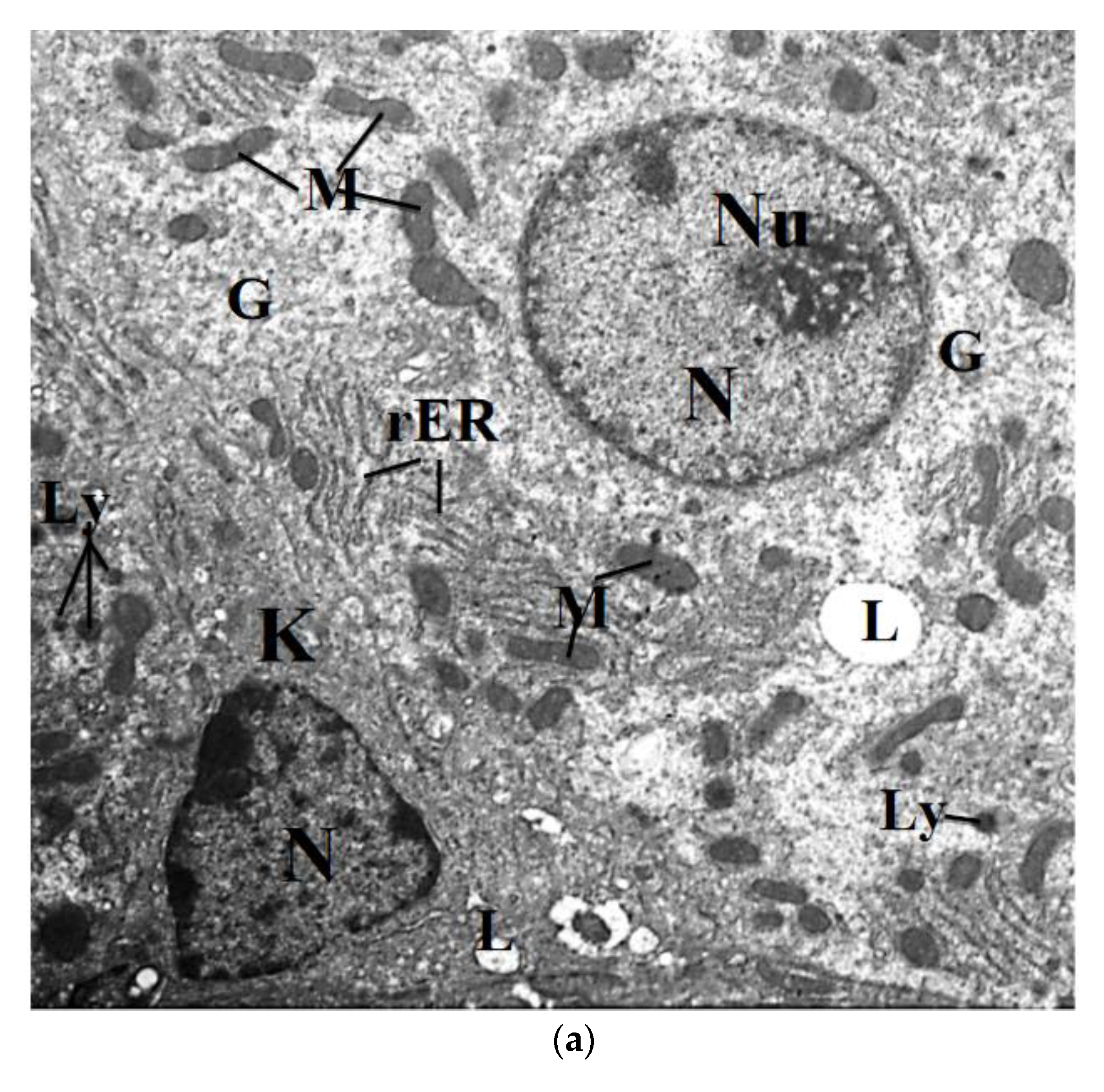 Molecules 26 03045 g009a