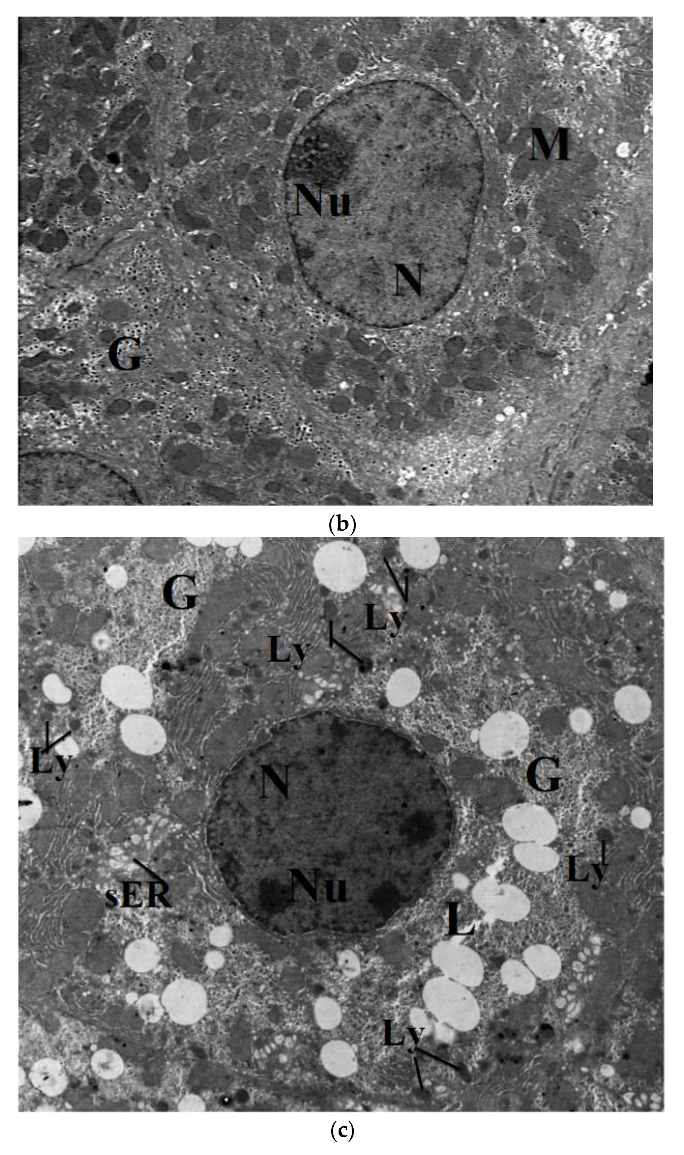 Molecules 26 03045 g009b