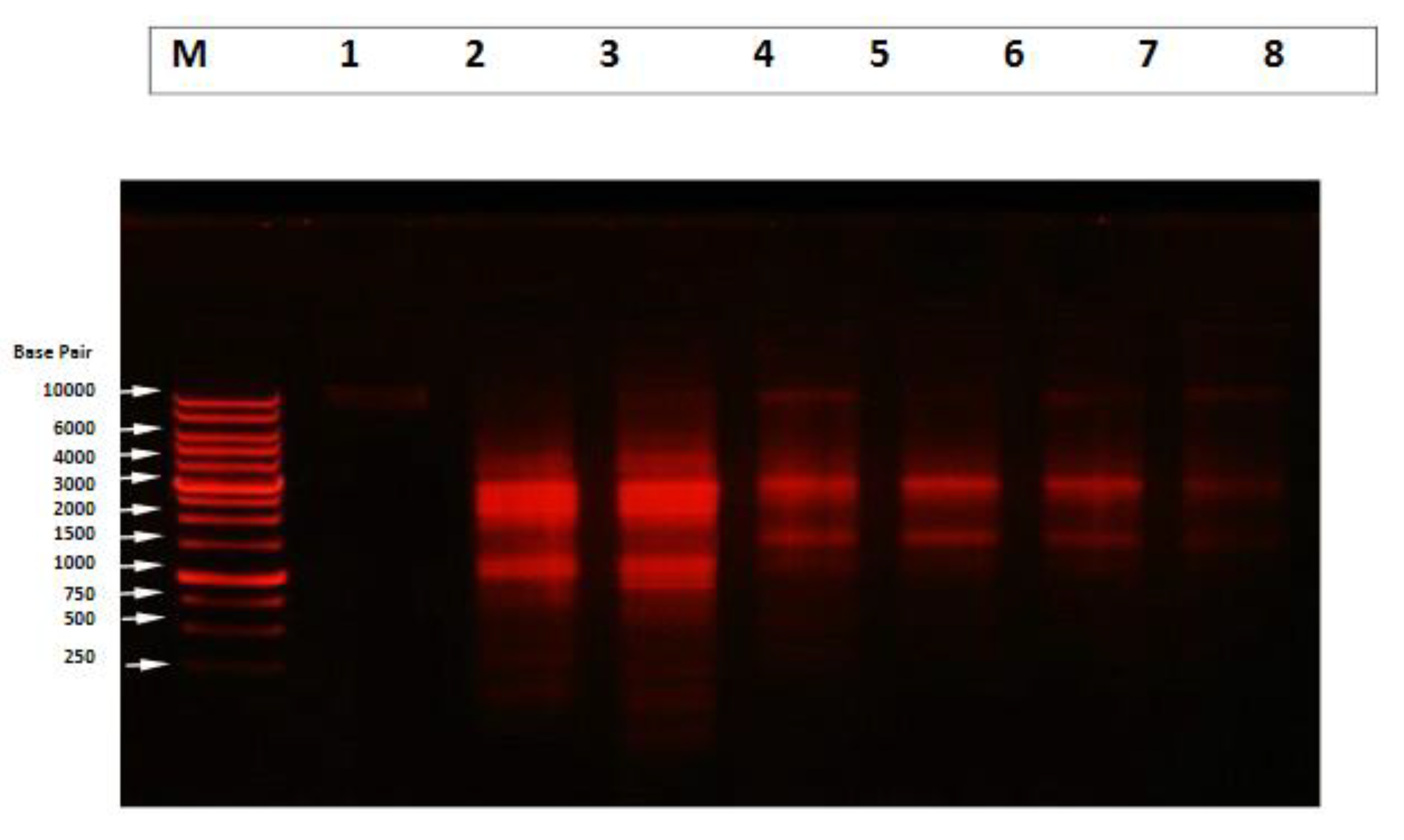 Molecules 26 03045 g010