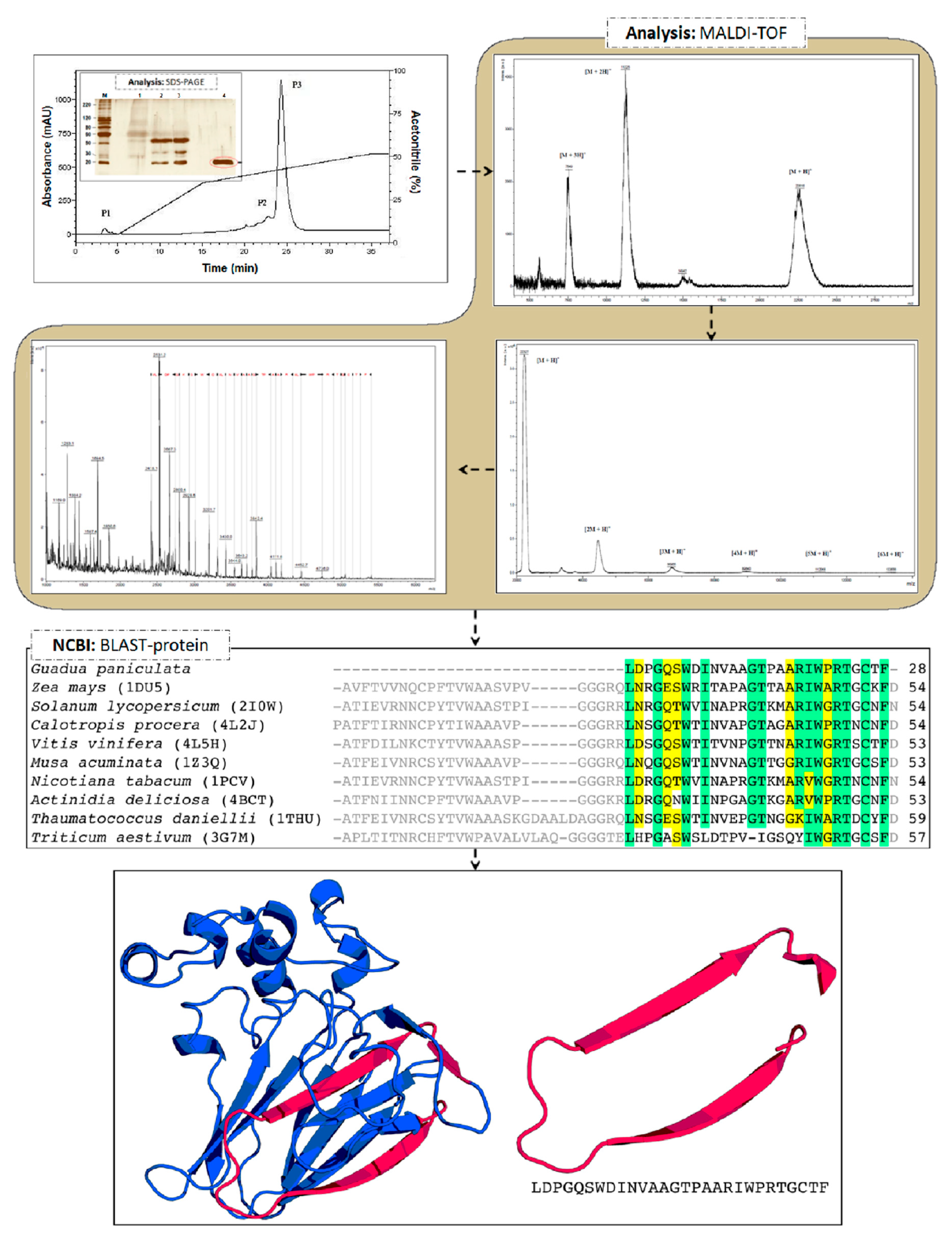 Molecules 26 03054 g004