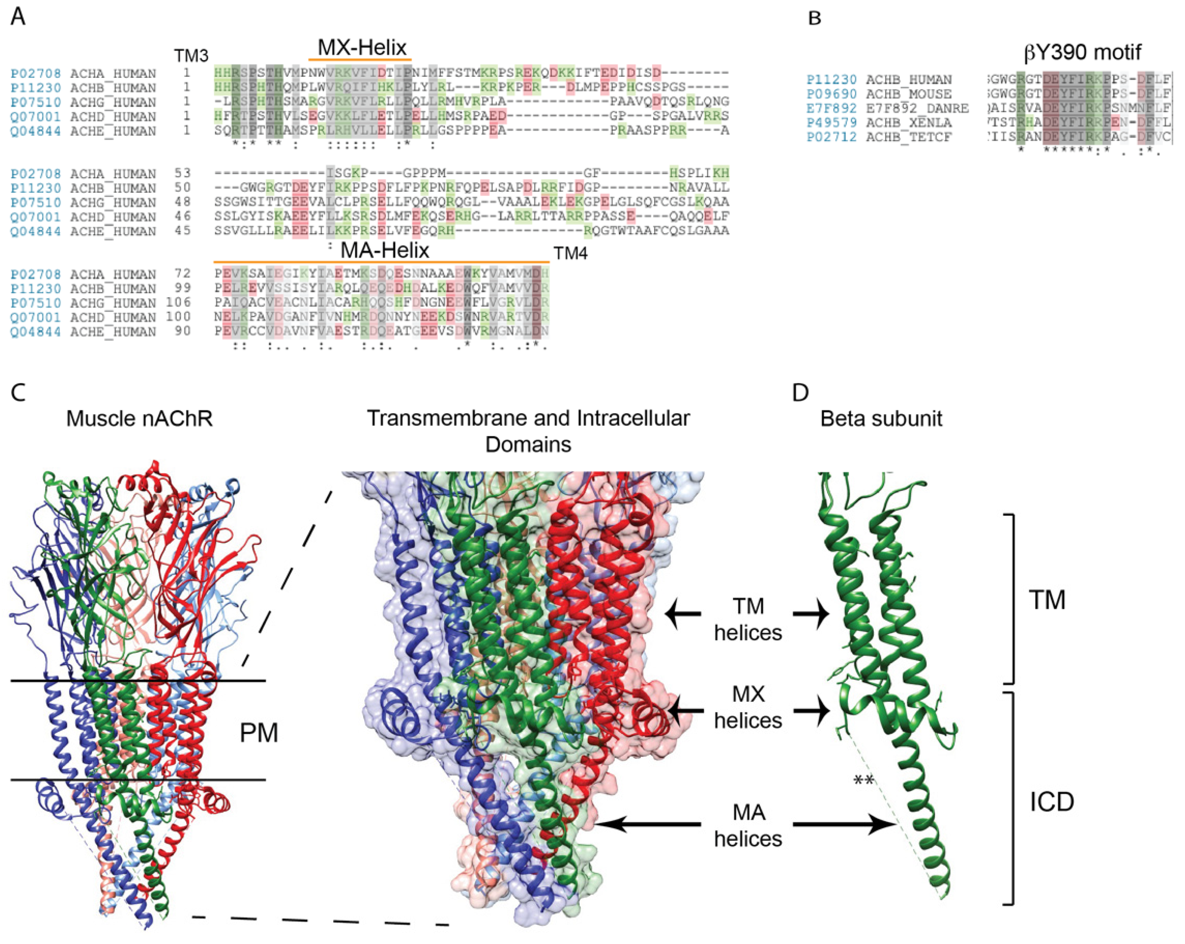 Molecules 26 03065 g001