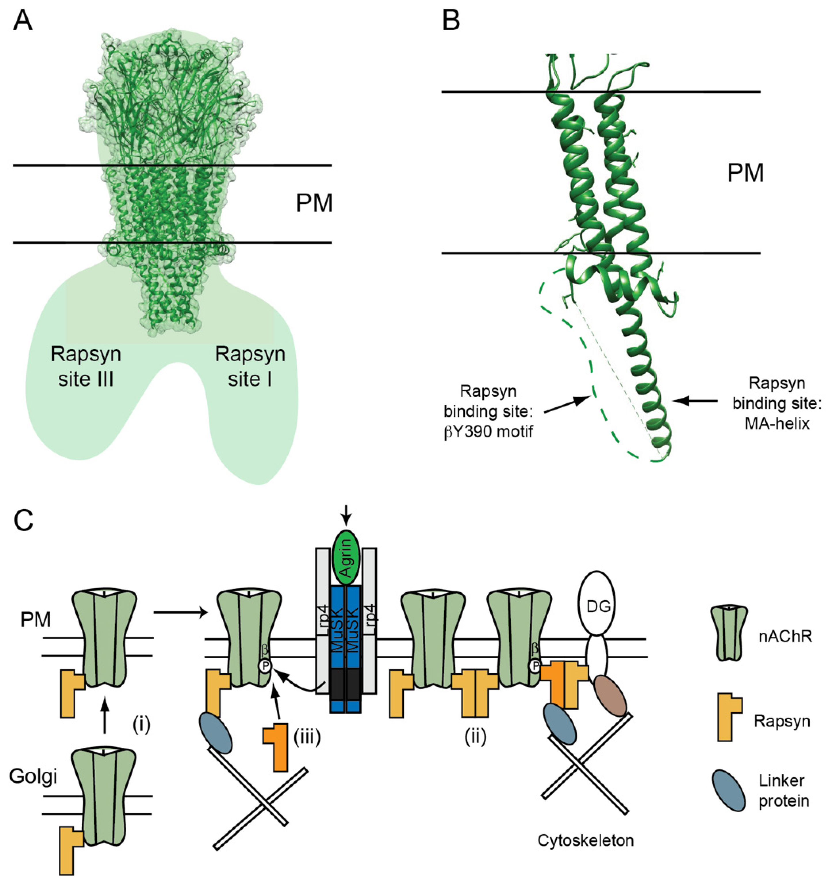 Molecules 26 03065 g002