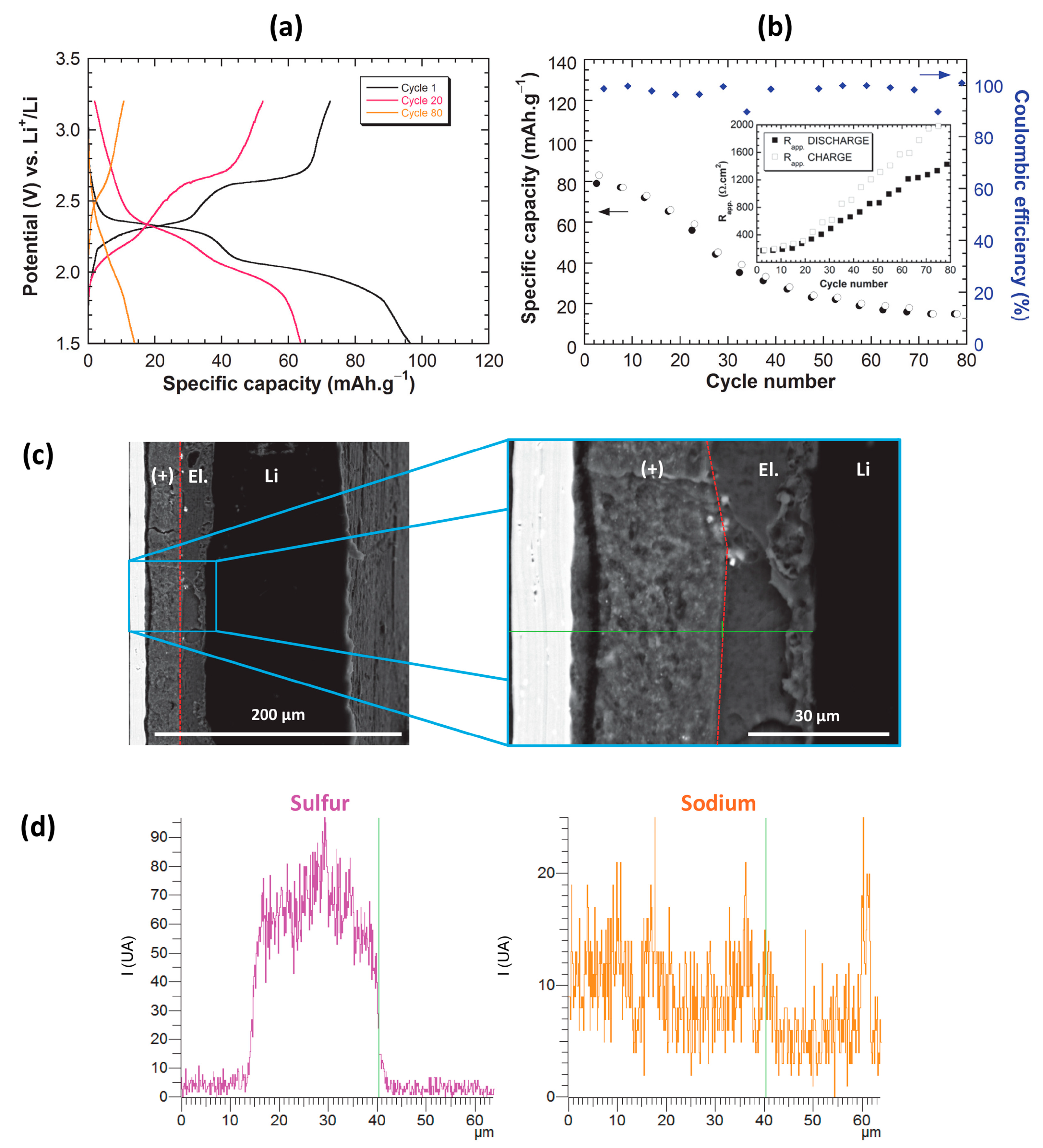 Molecules 26 03079 g006 Molecules 26 03079 g006