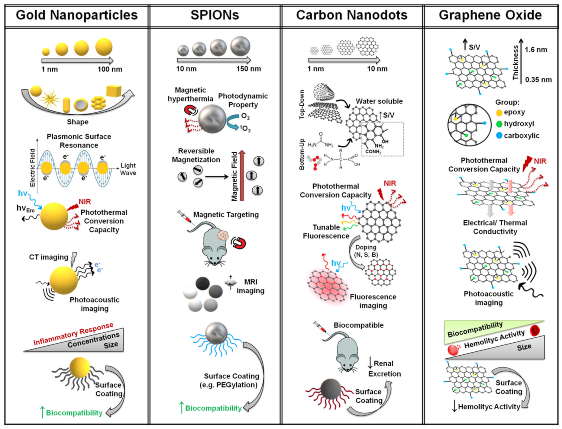 Functionalization of Metal and Carbon Nanoparticles with Functionalization of Metal and Carbon Nanoparticles with