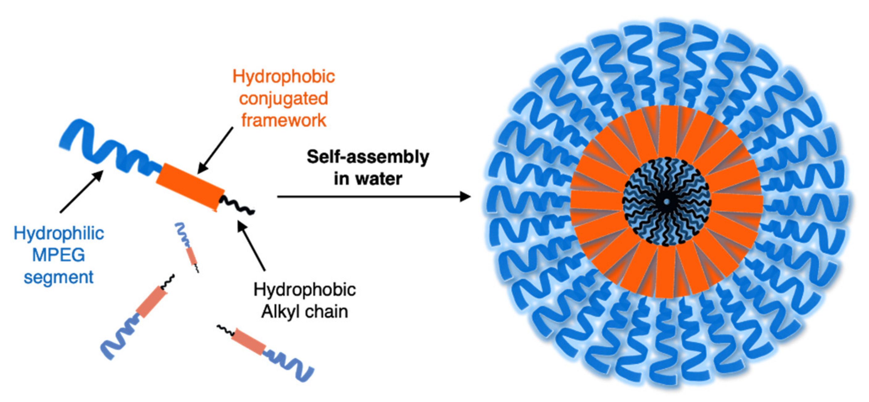 Molecules 26 03088 g001