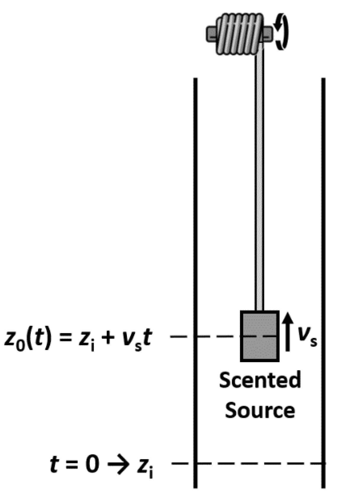 Molecules 26 03095 g019