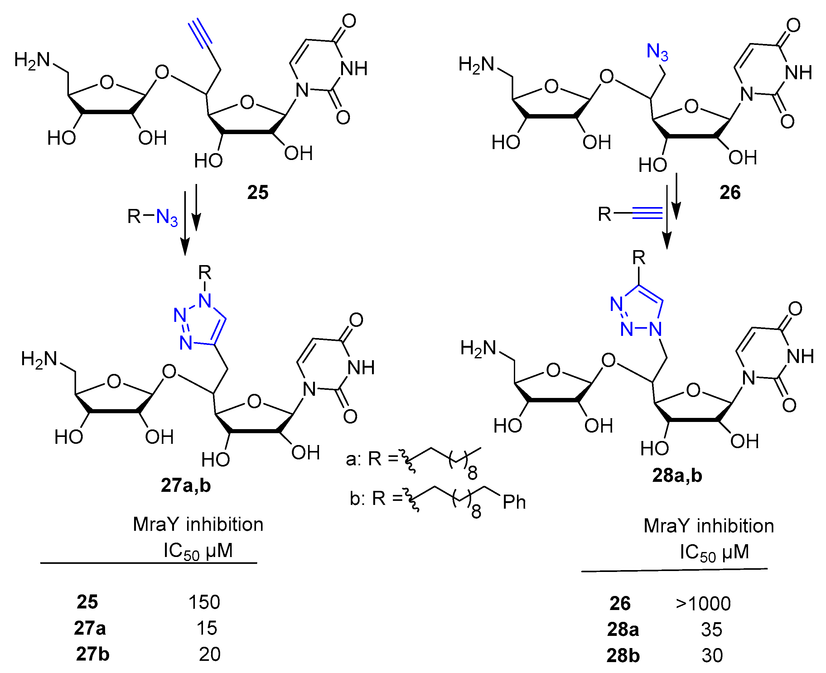 Molecules 26 03100 sch005