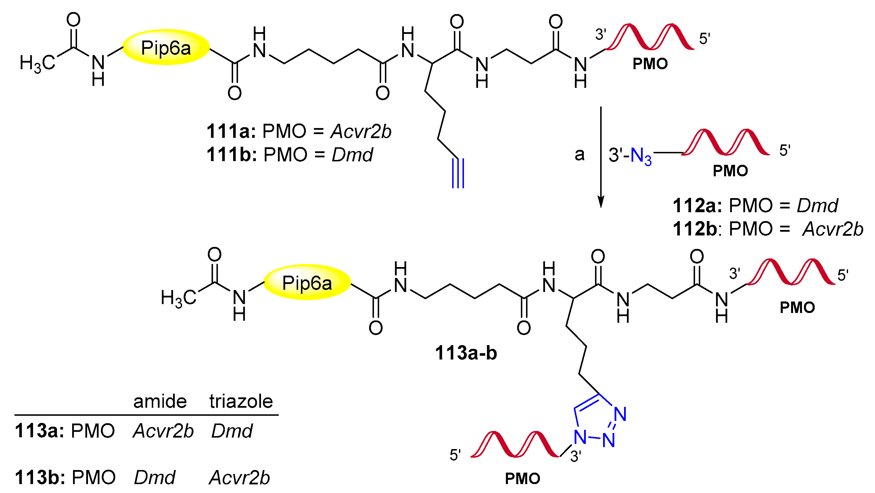 Molecules 26 03100 sch028