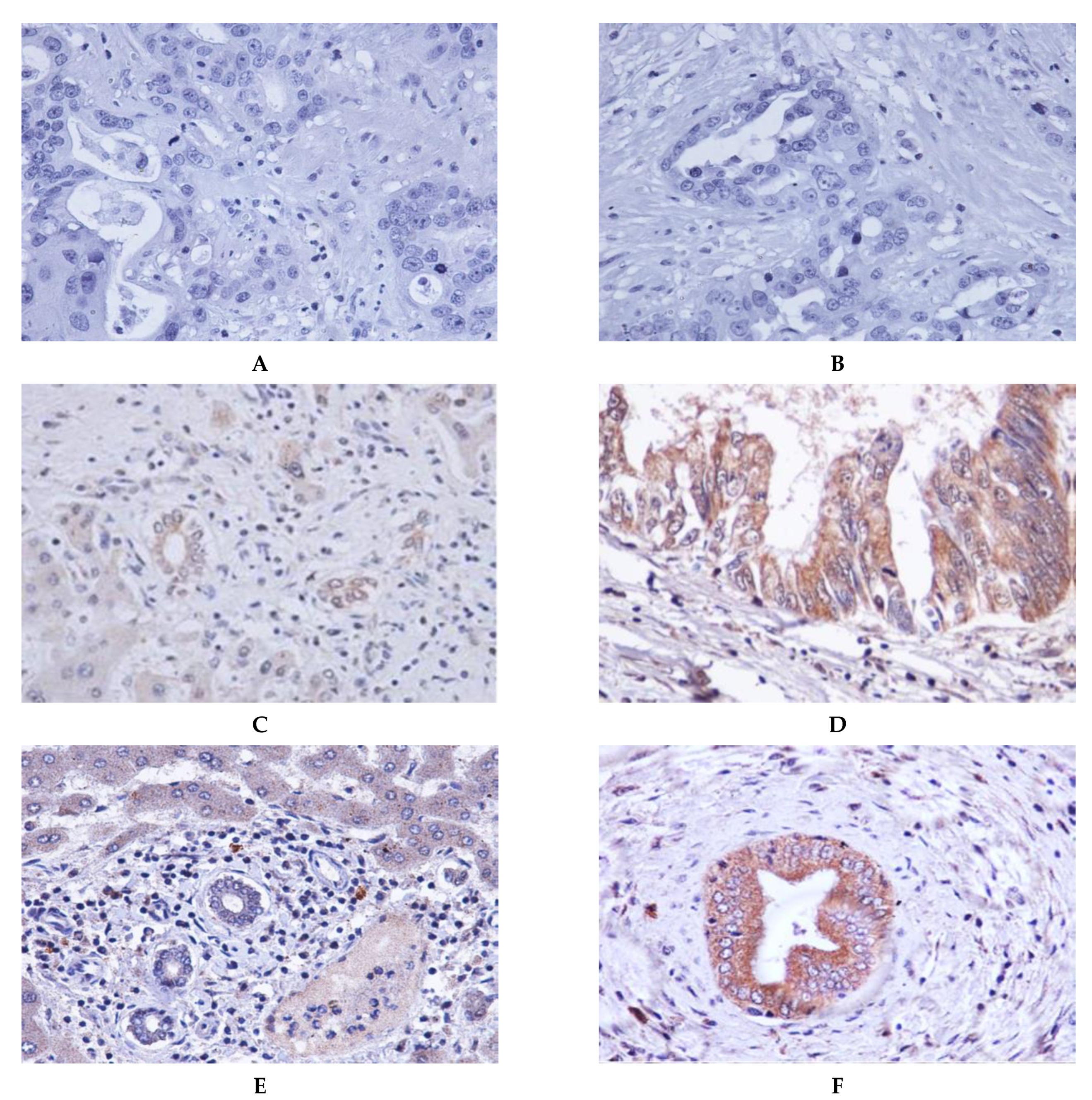 Molecules 26 03105 g001 Molecules 26 03105 g001