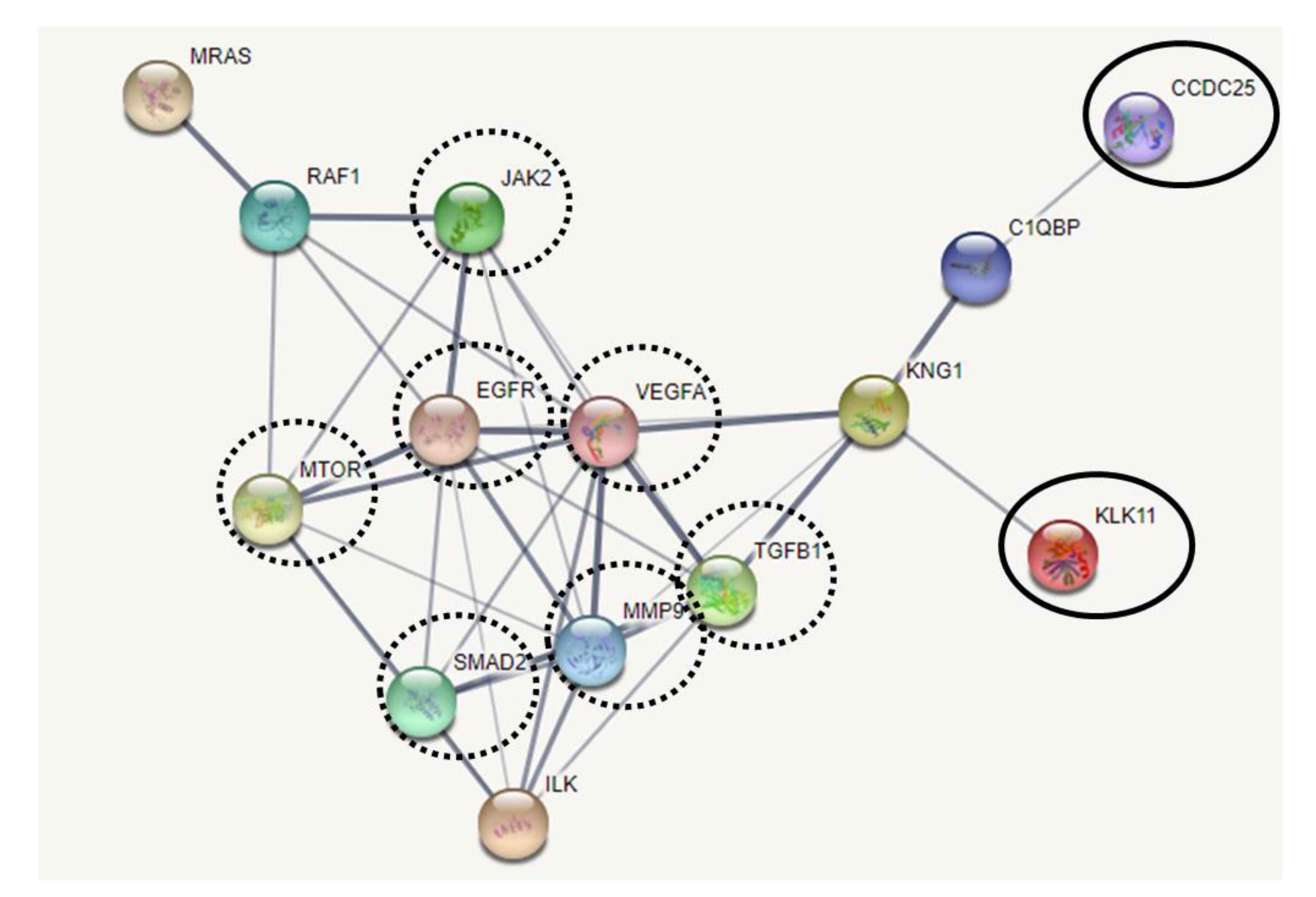 Molecules 26 03105 g008 Molecules 26 03105 g008