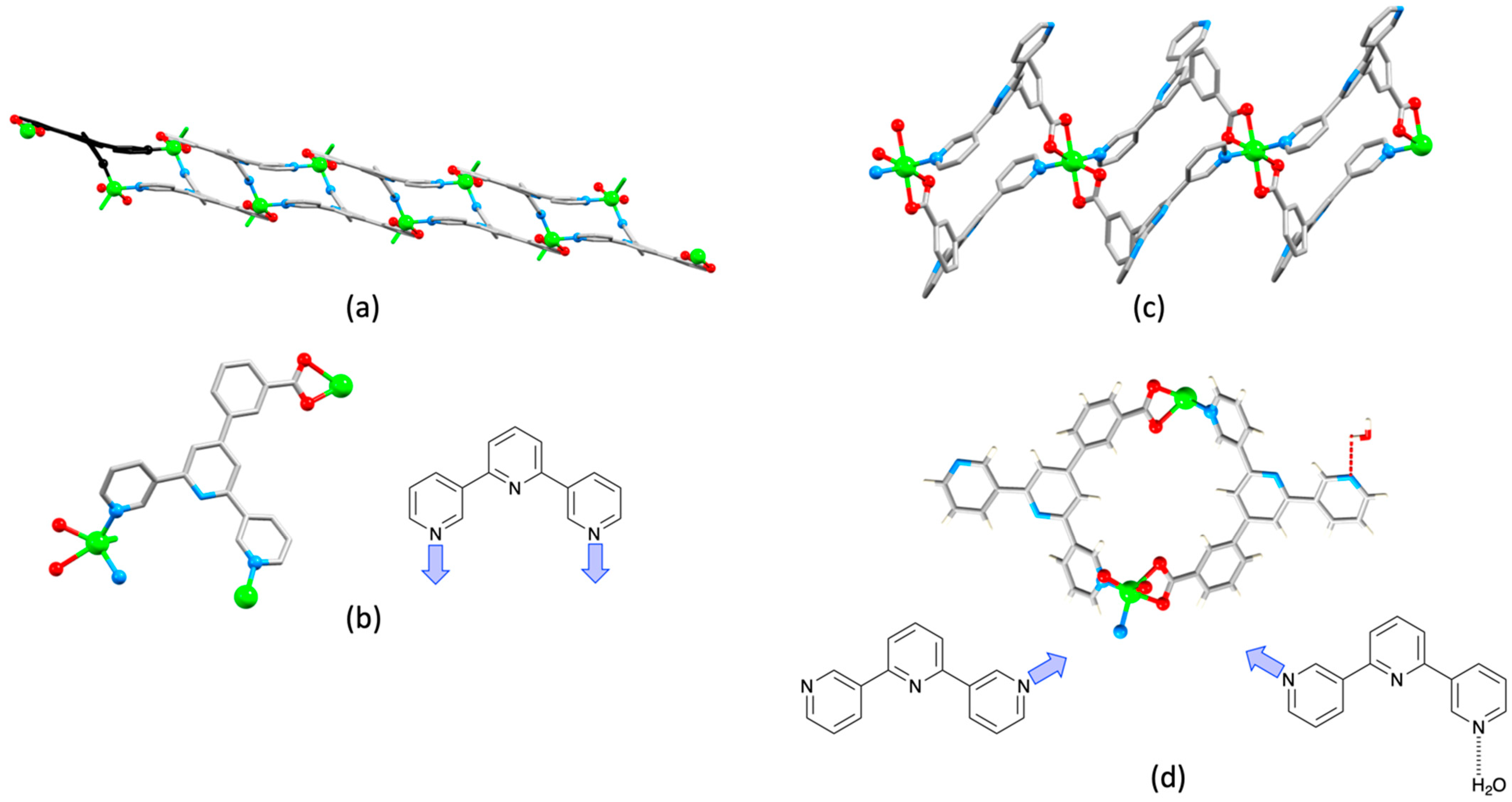 Molecules 26 03110 g041 Molecules 26 03110 g041