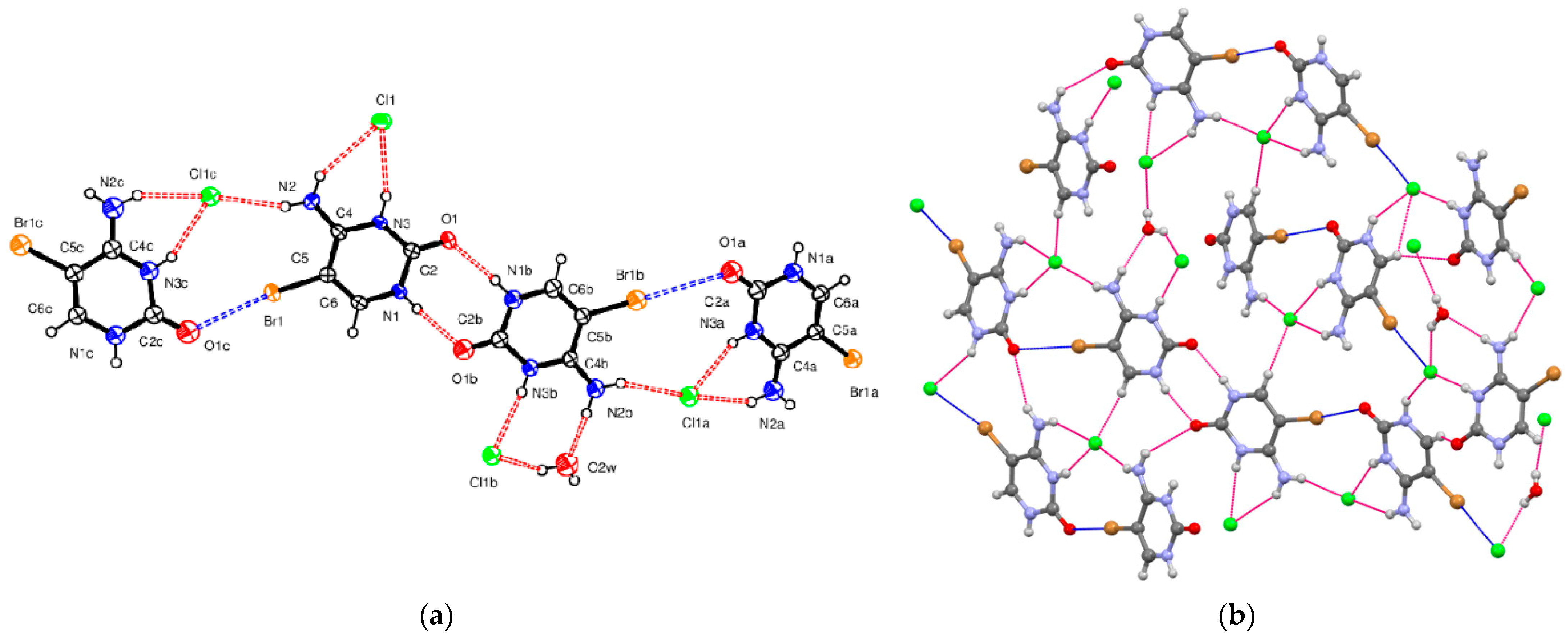 Molecules 26 03111 g001
