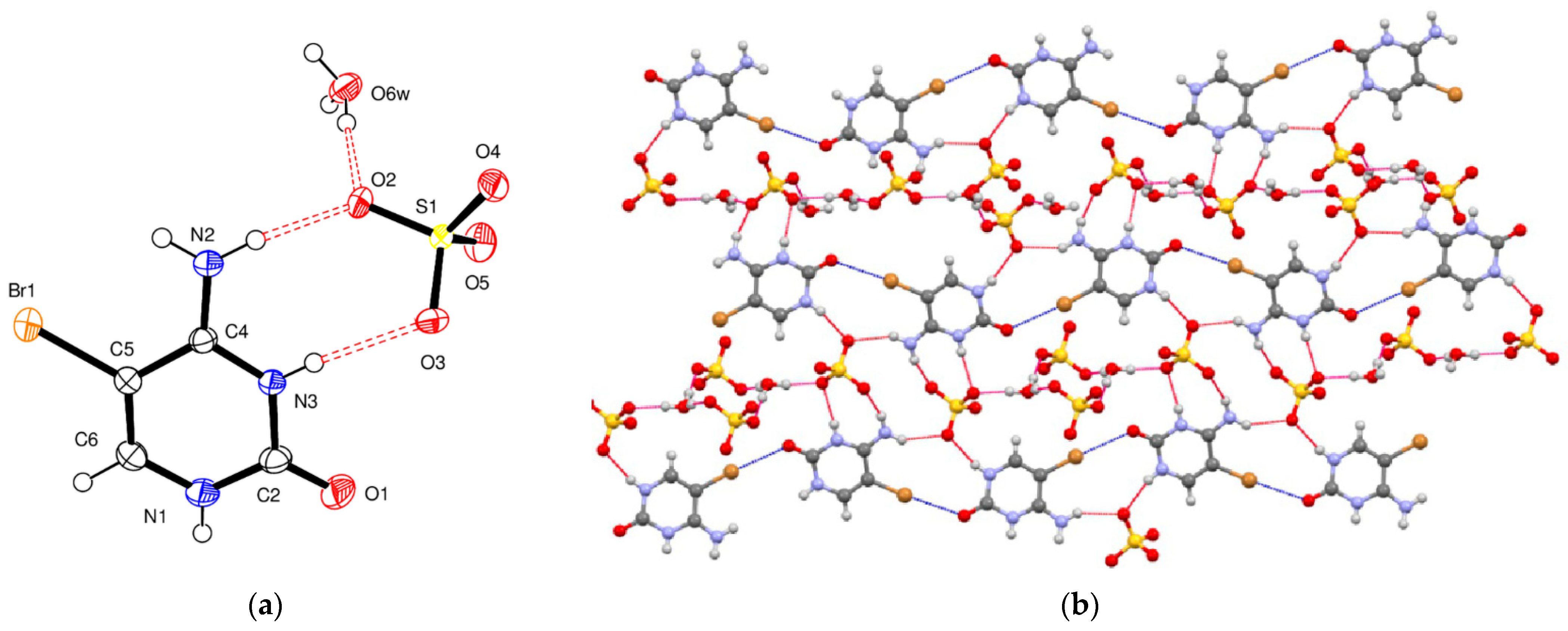 Molecules 26 03111 g004