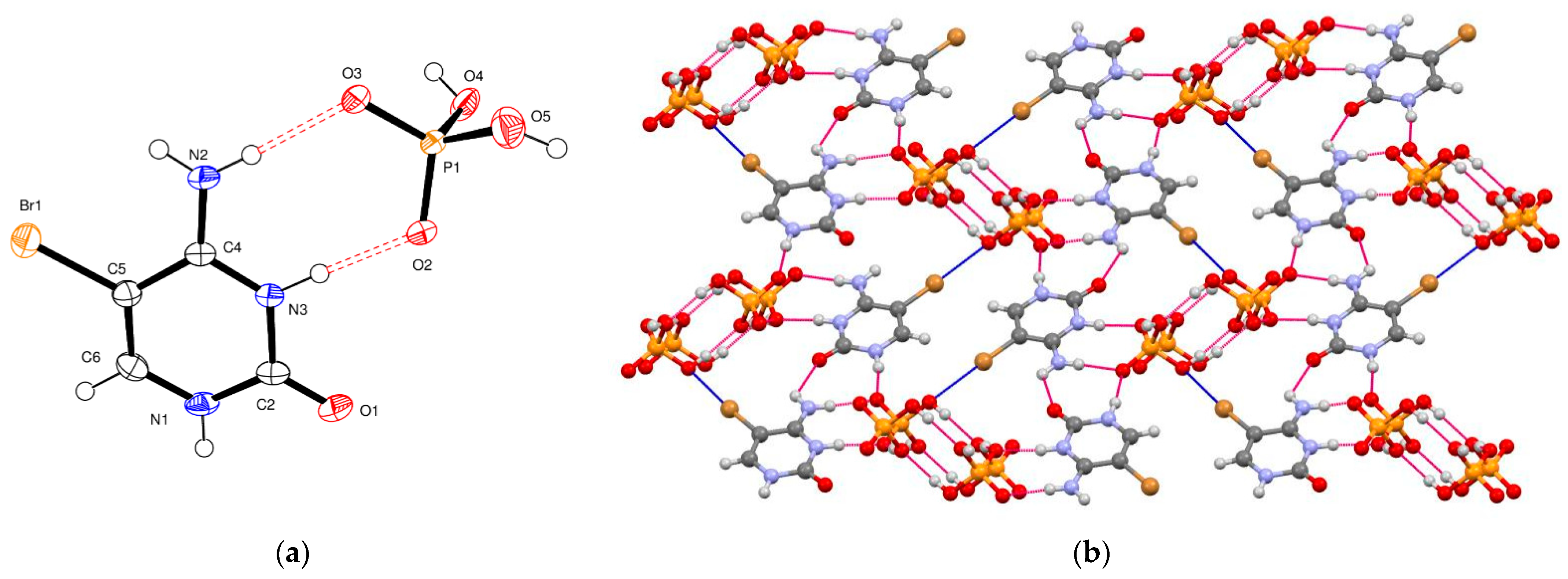 Molecules 26 03111 g005