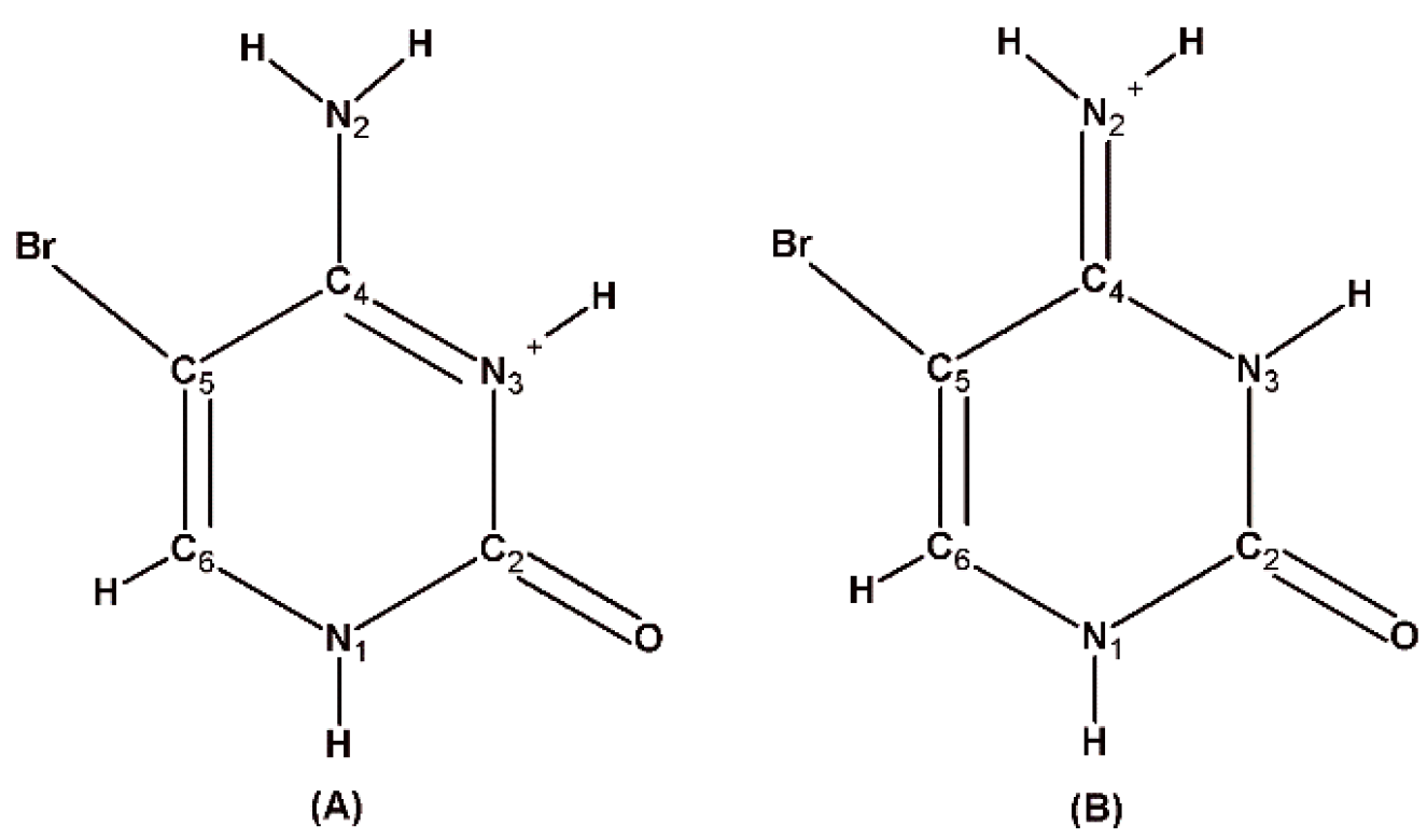 Molecules 26 03111 g011