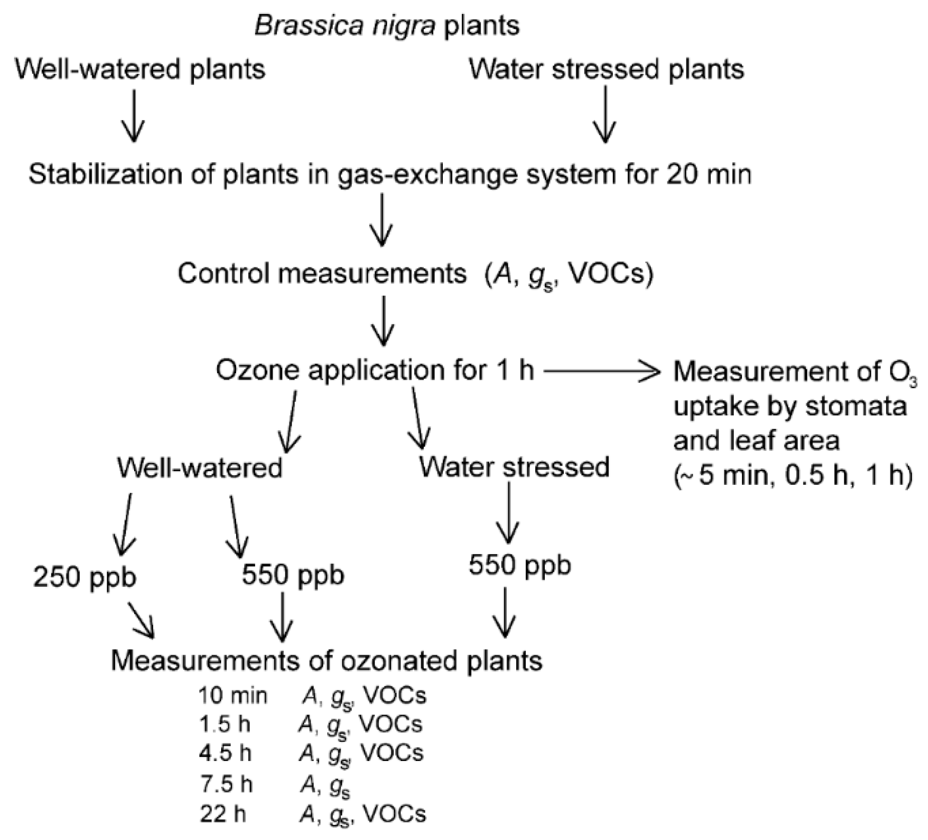 Molecules 26 03114 g007