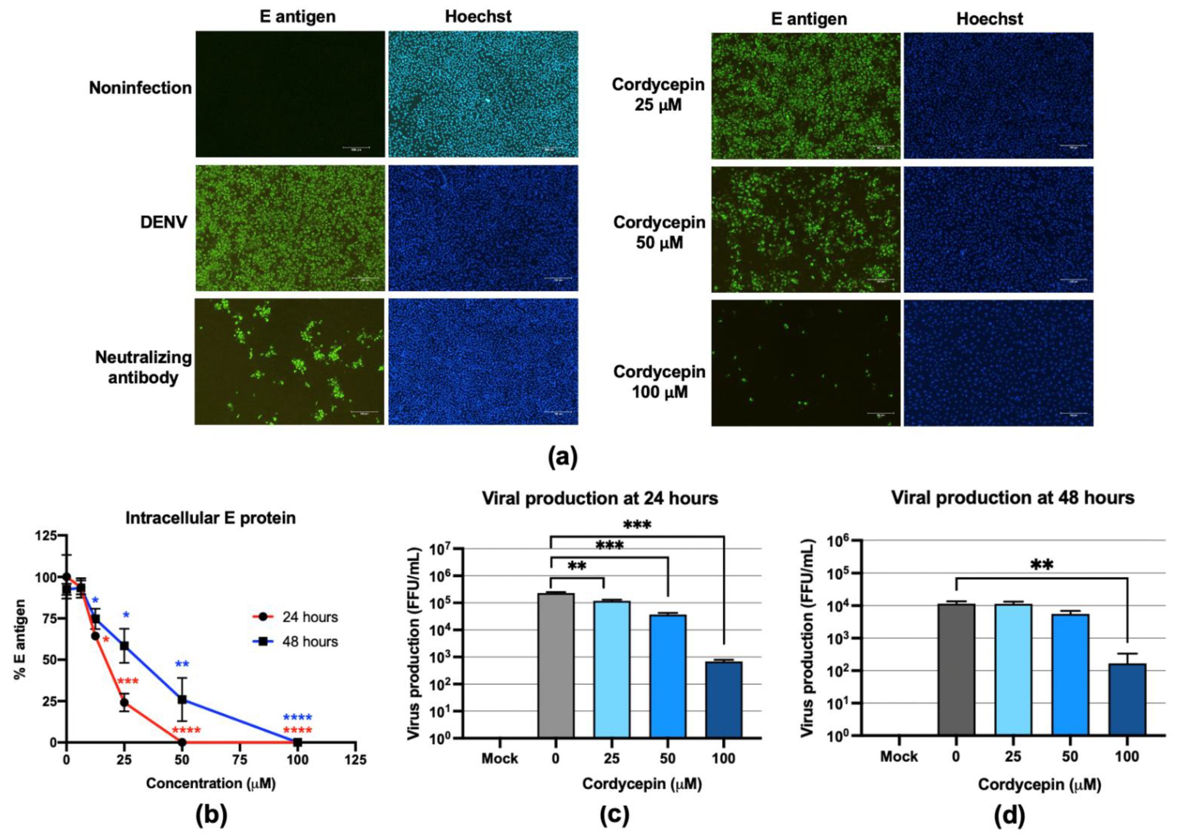 Molecules 26 03118 g002