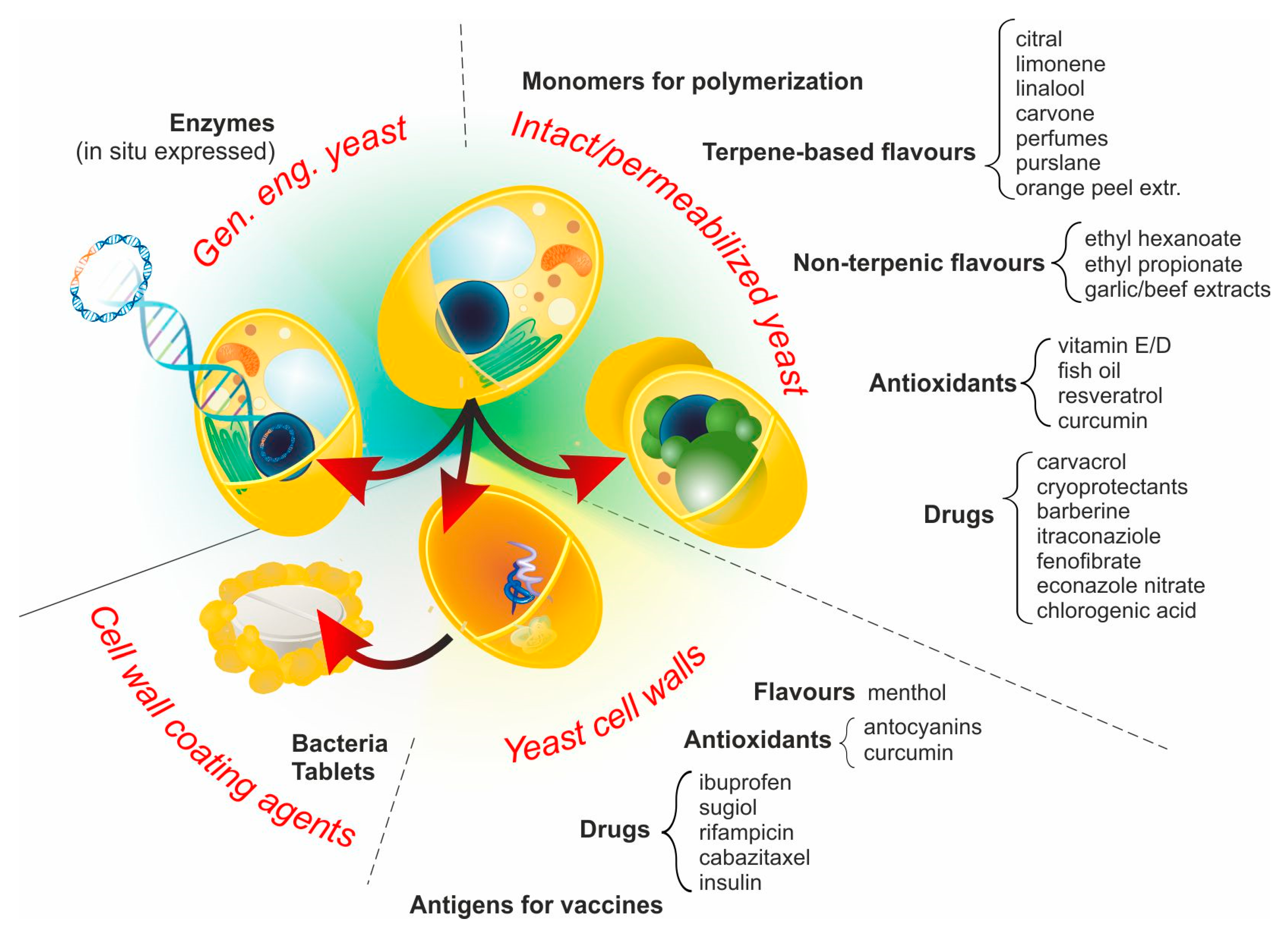 Molecules 26 03123 g002 Molecules 26 03123 g002